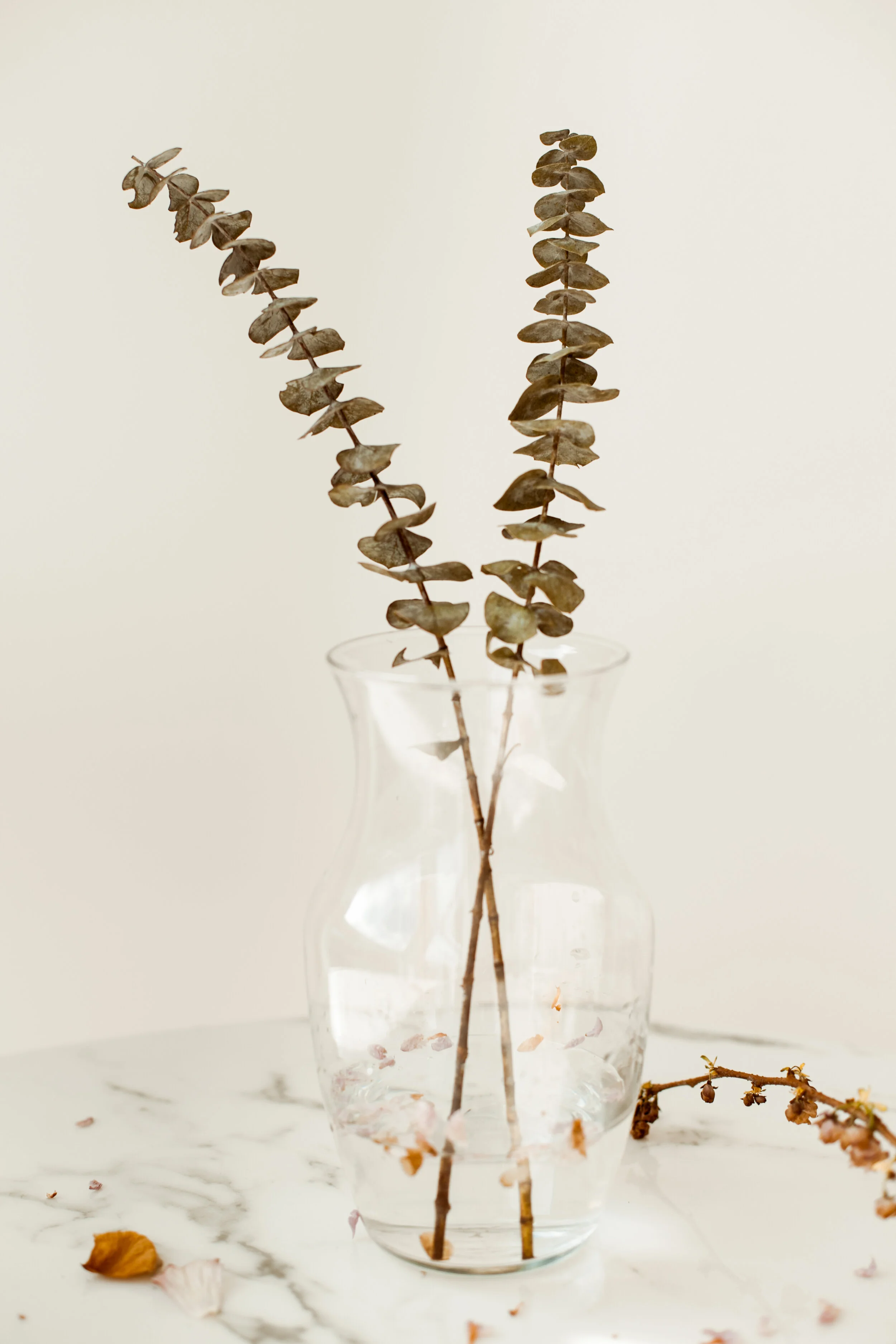 ElizabethZuluaga_FloralsStillLife_026.jpg