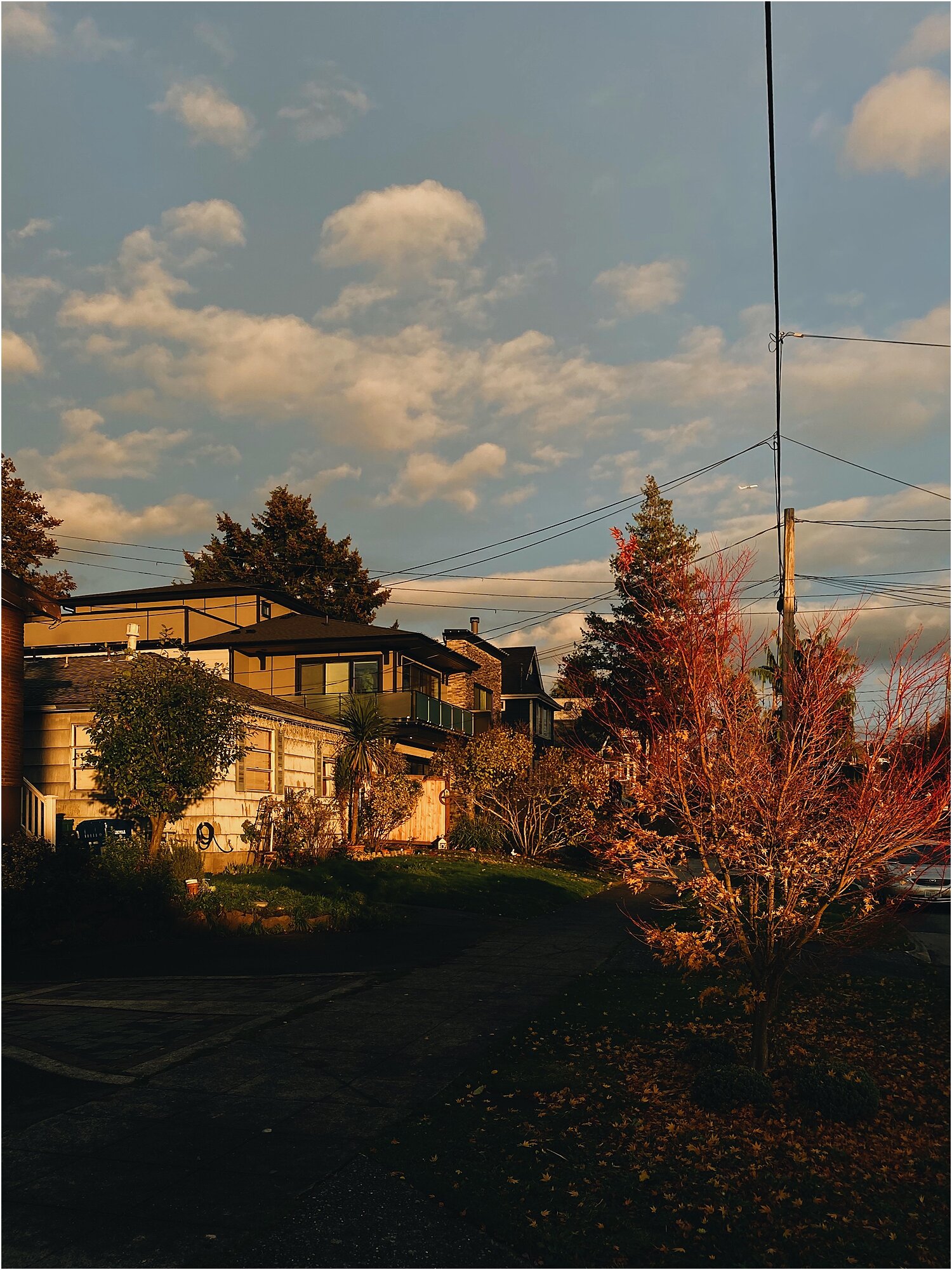 Cozy Evenings_WEB.jpg