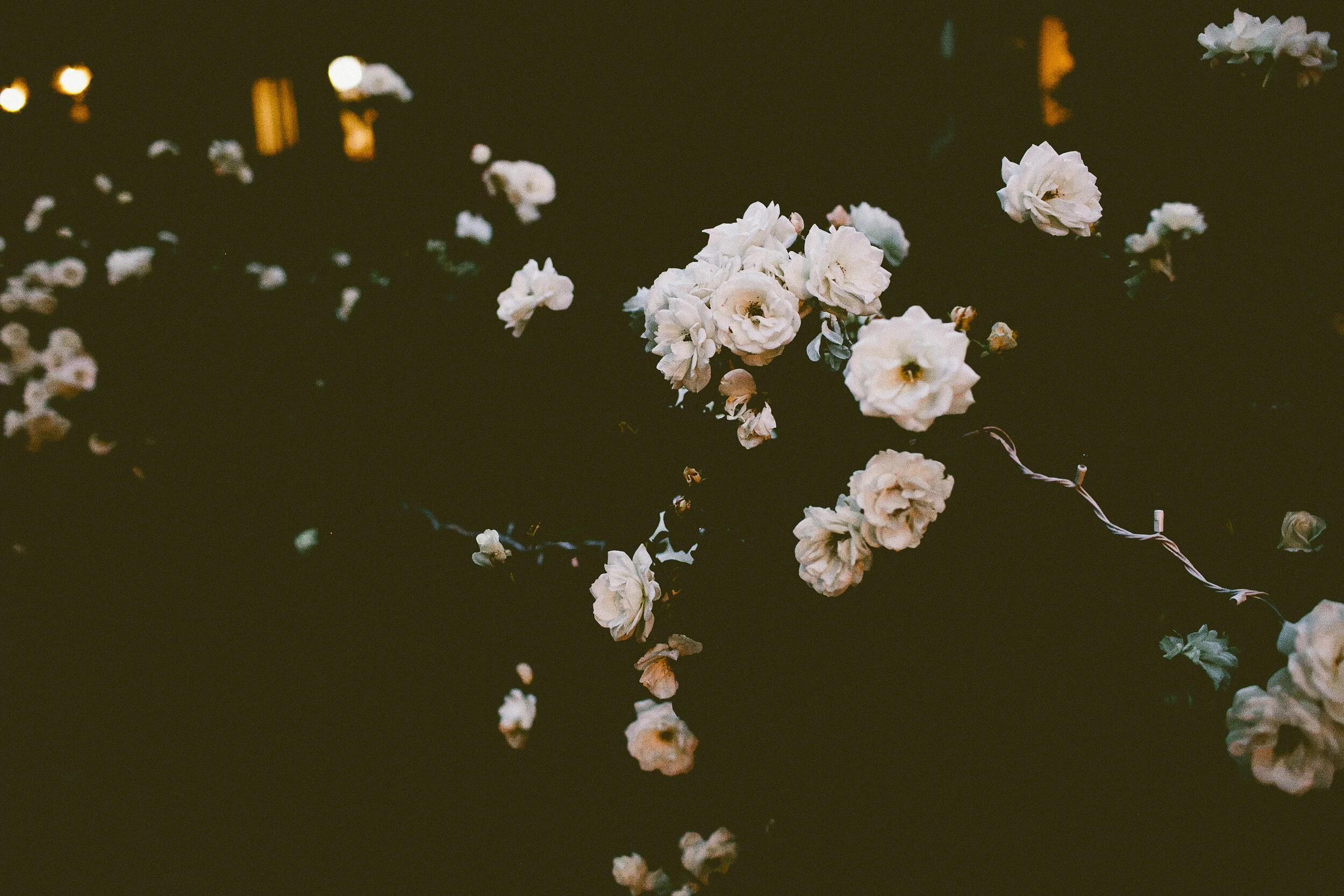 LA a la Liz_Beachwood_Canyon_010.jpg