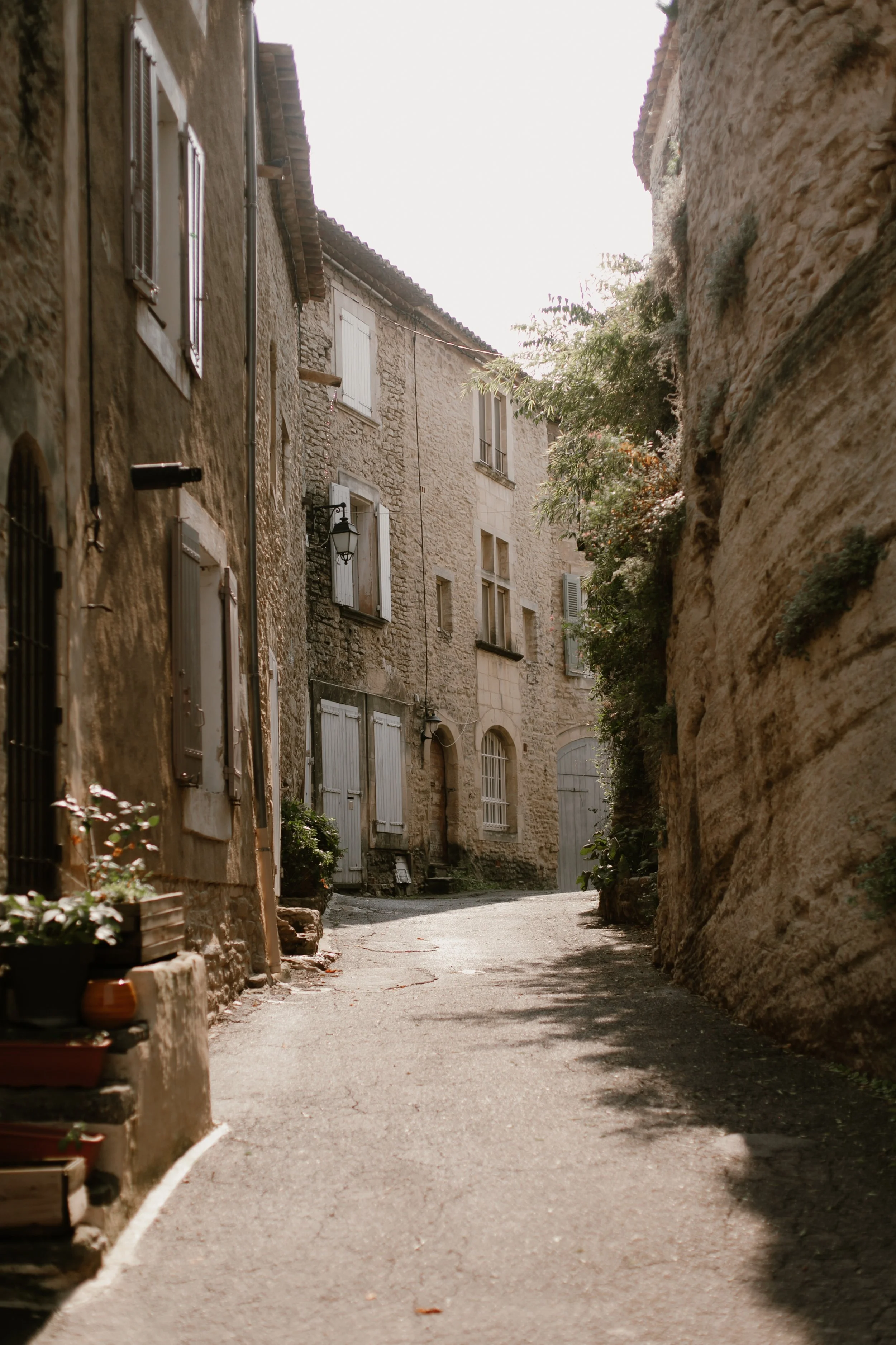LEAD ME TO THE UNKNOWN // PROVENCE