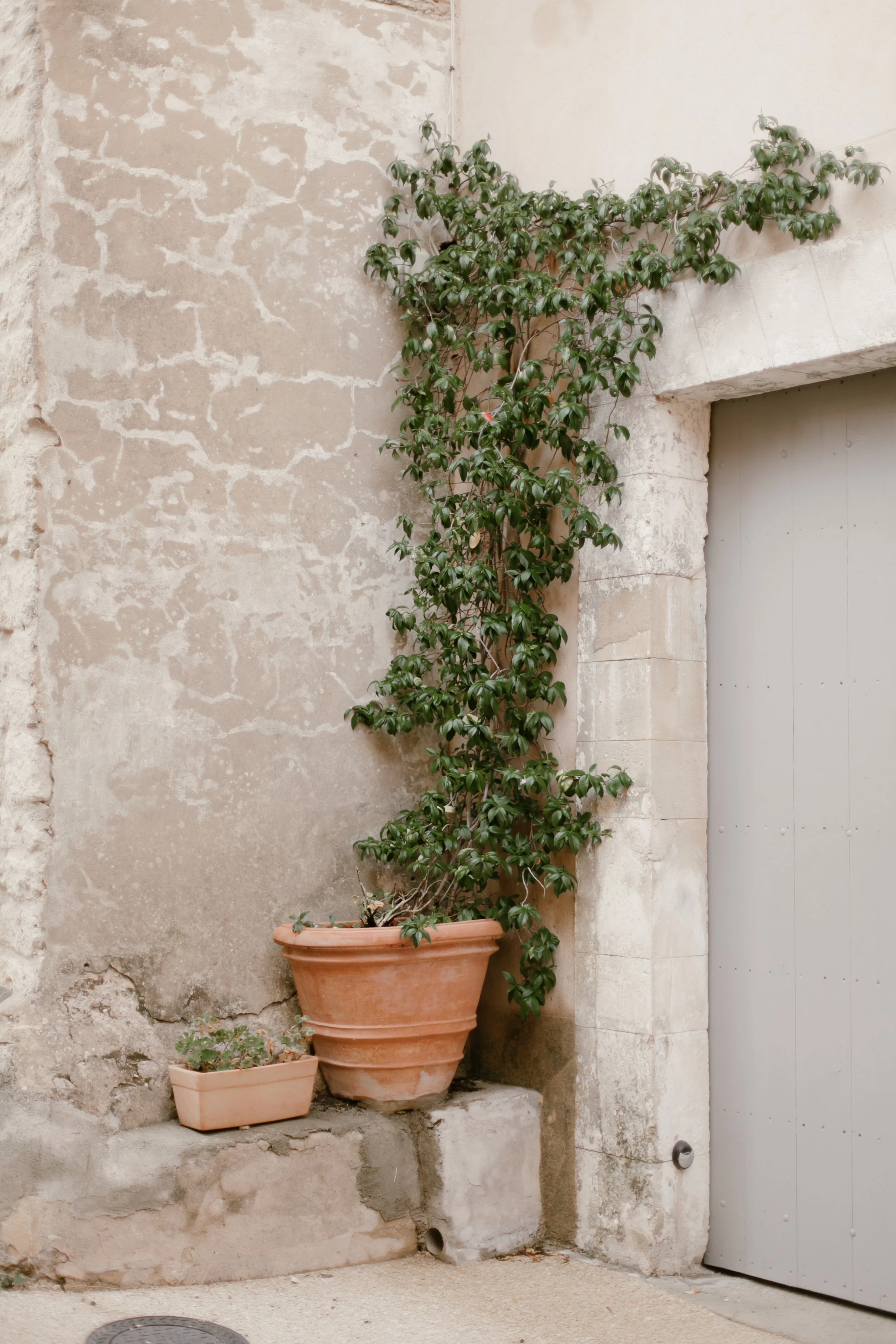 SLOWLY BUT SURELY // PROVENCE 