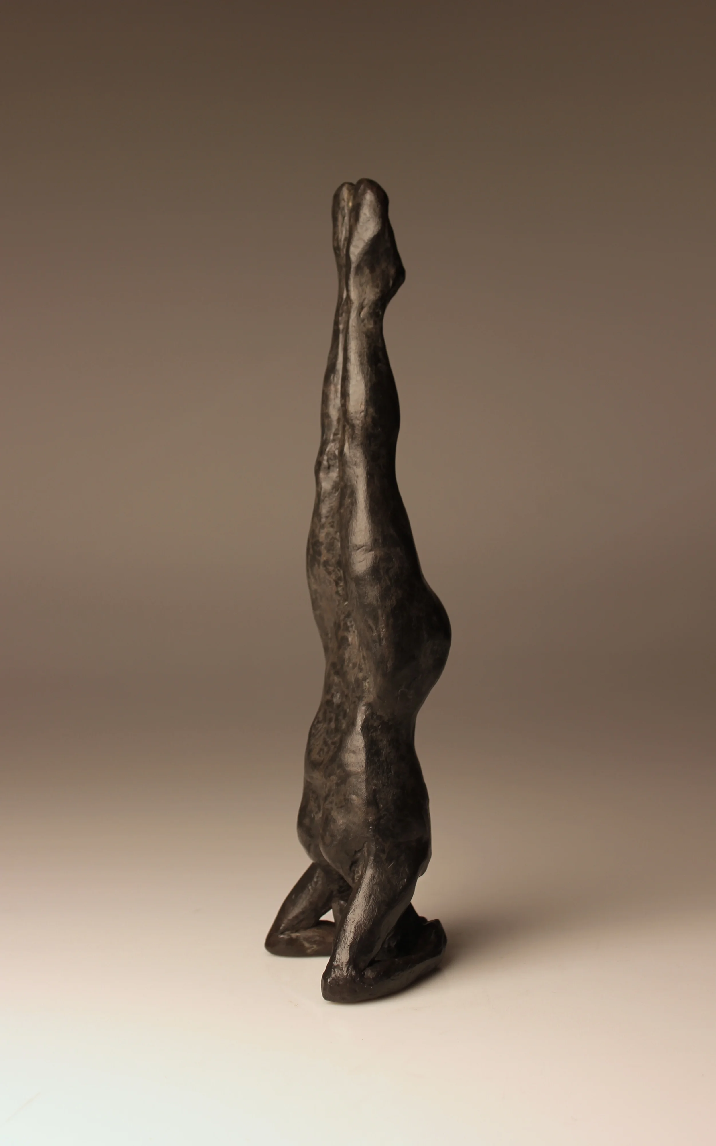 IMG_5975.jpg