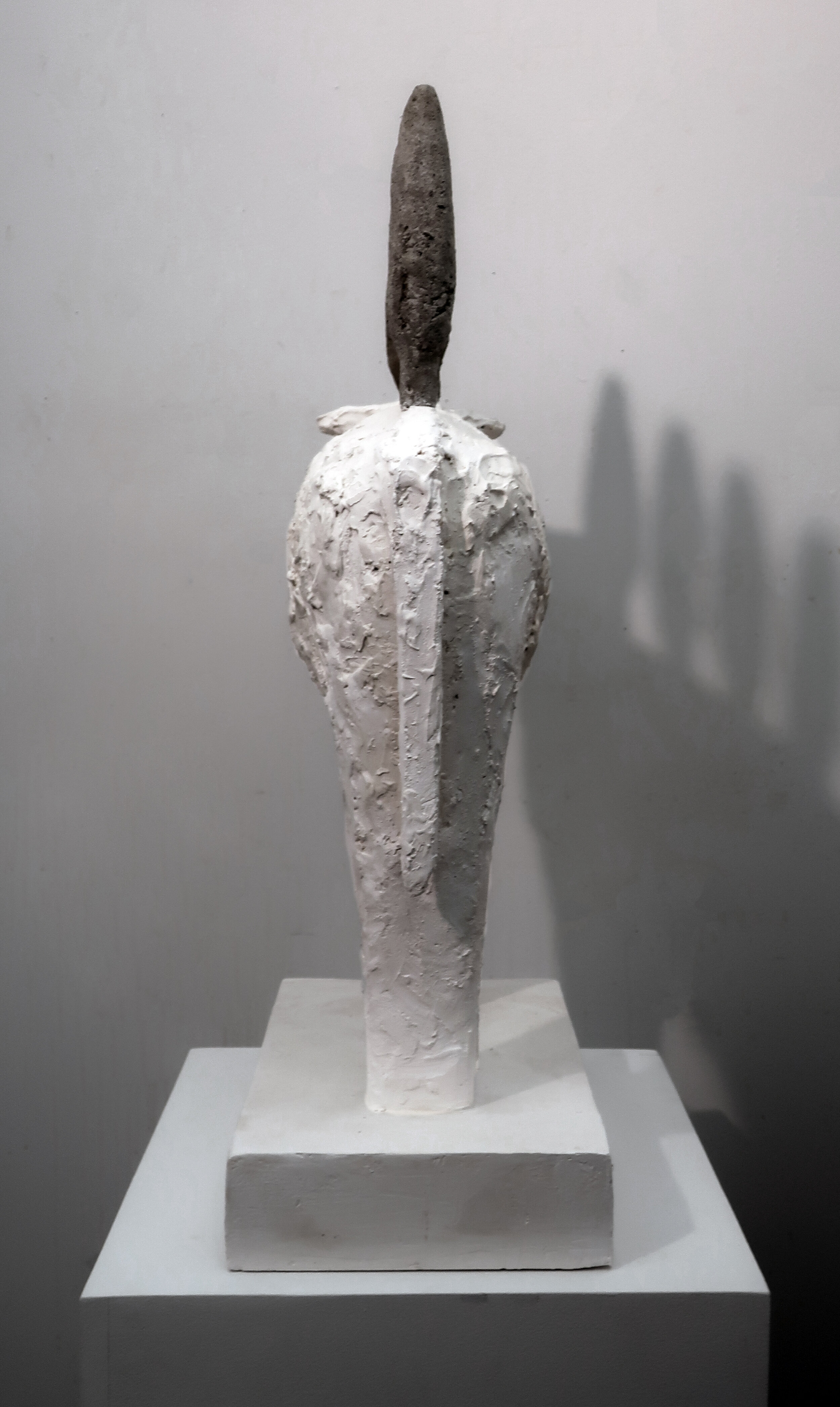 cow back viewnedited.jpg