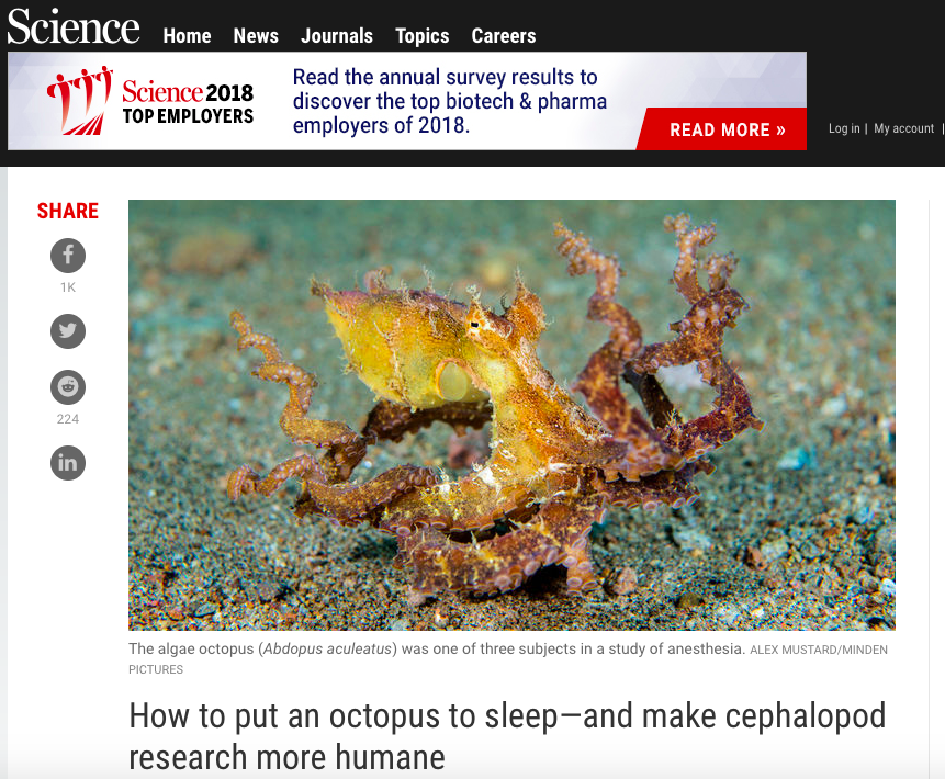 Crook Lab featured in Science Magazine!!