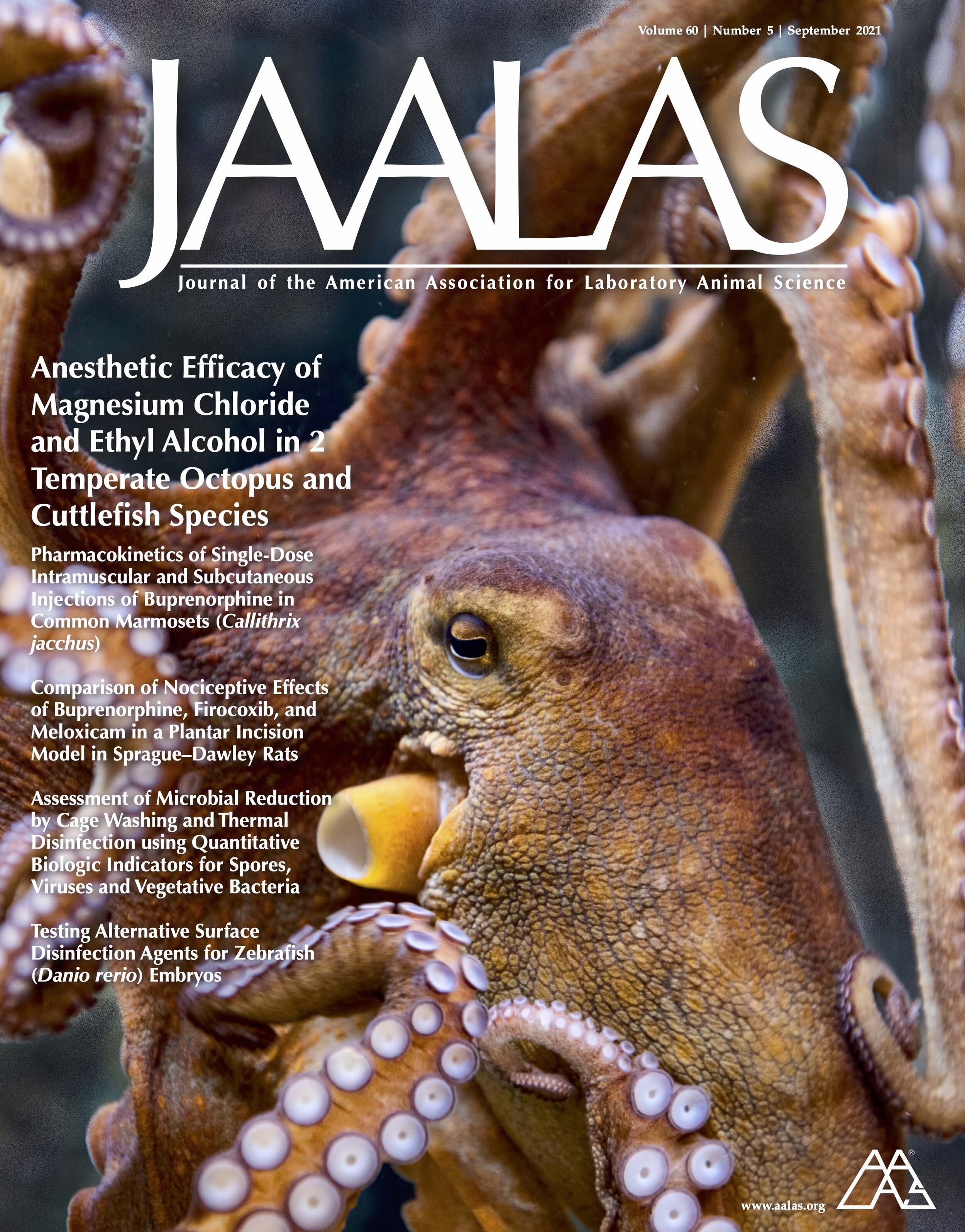 The Crook Lab gets the cover of JAALAS! — Crook Laboratory