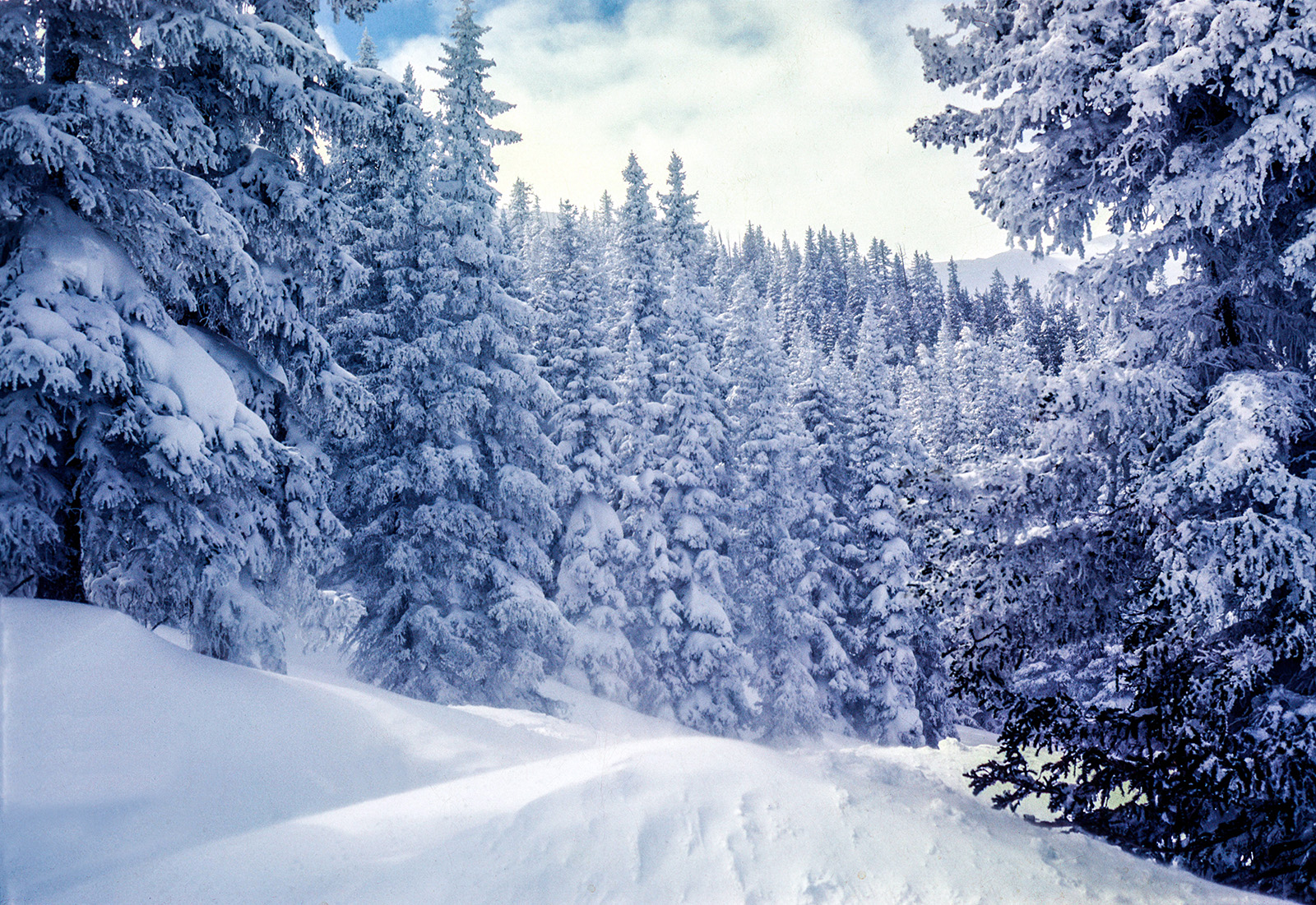 Monarch Pass, March 15th, 1978. Ektachrome 125th@ f16, Nikkormat FTN.