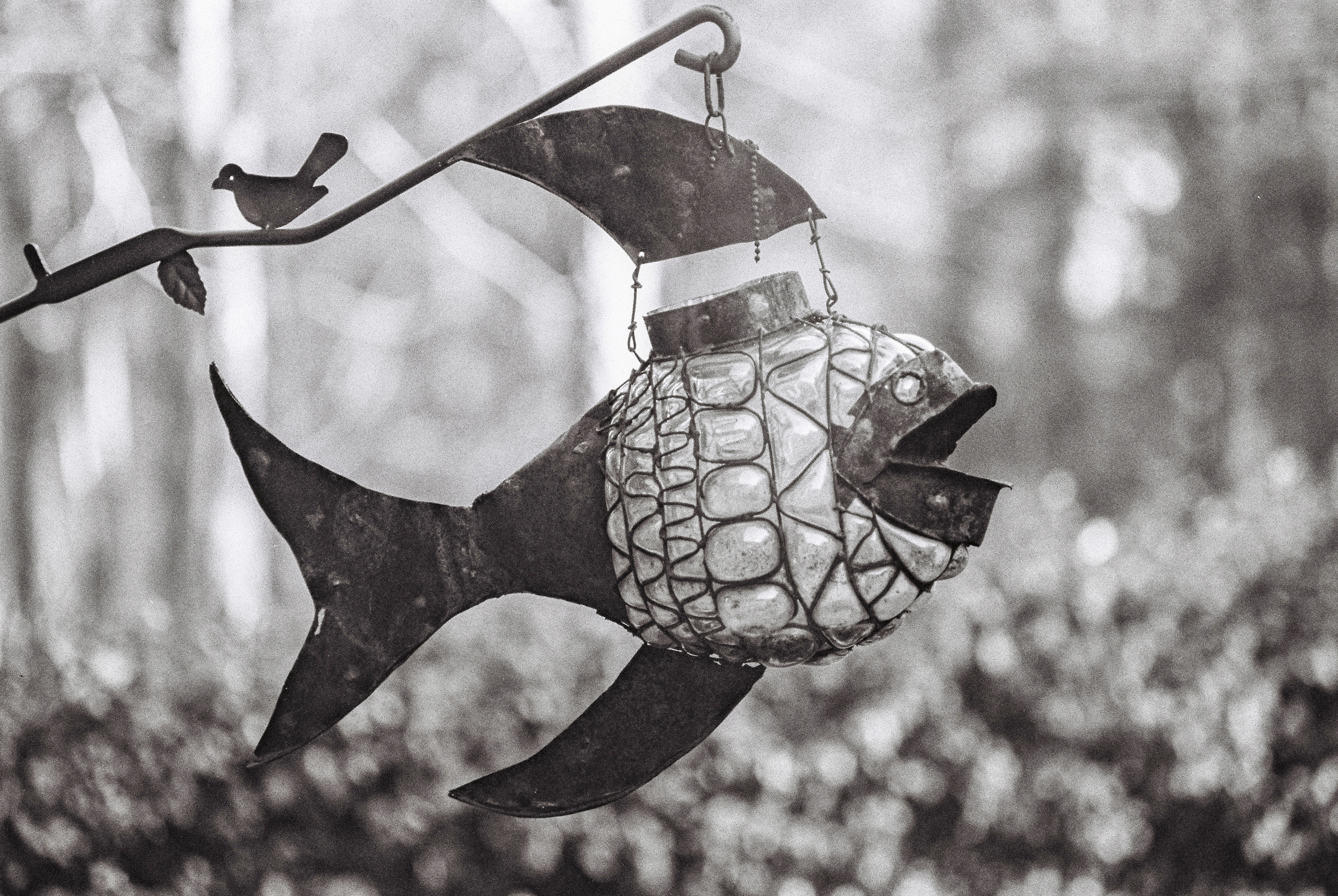 Ugly yard art we inherited when we bought the house. Nikkor 70-210 f4 lens at 210mm