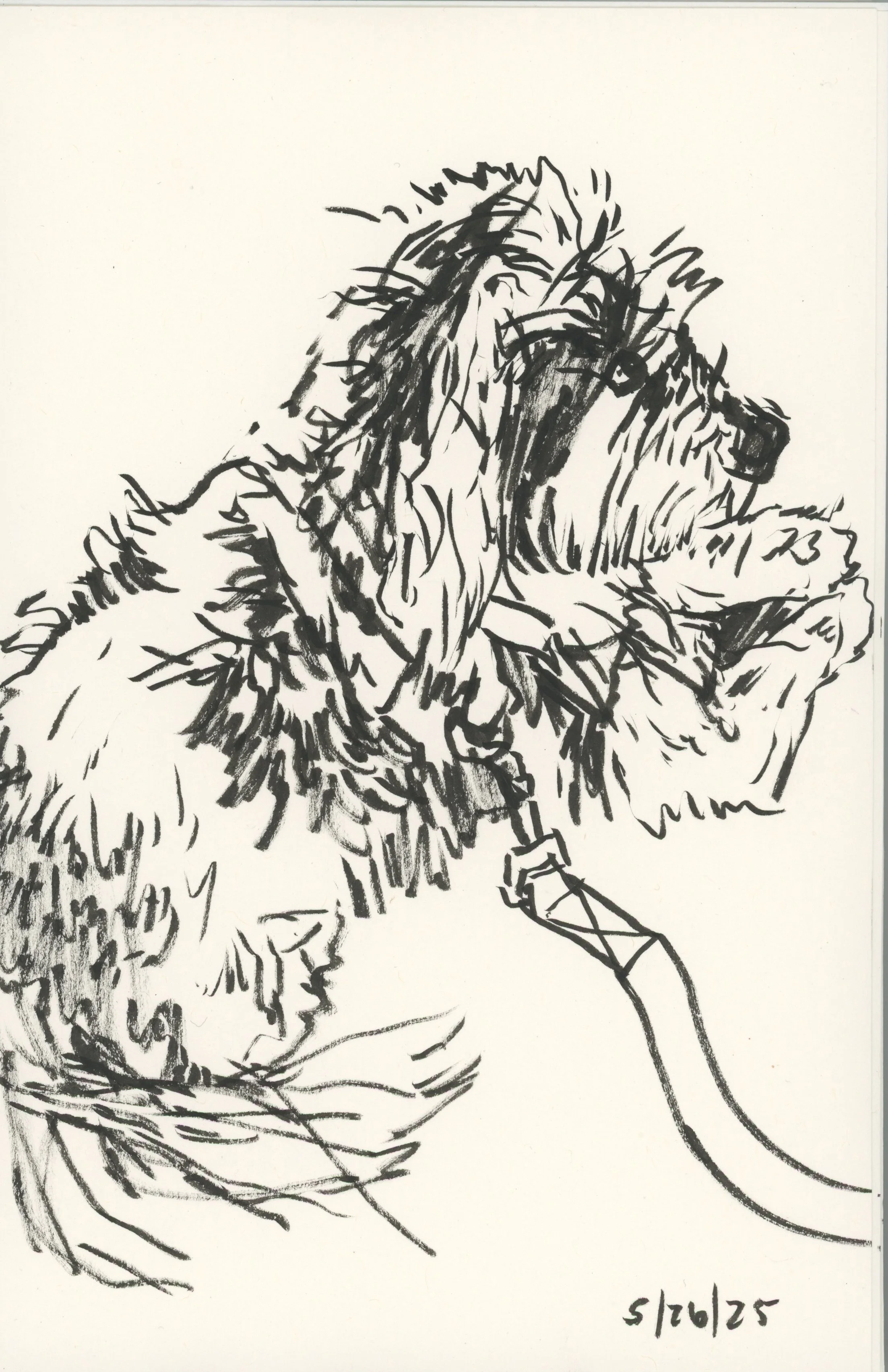 alfie brush pen sketchbook-2.jpg