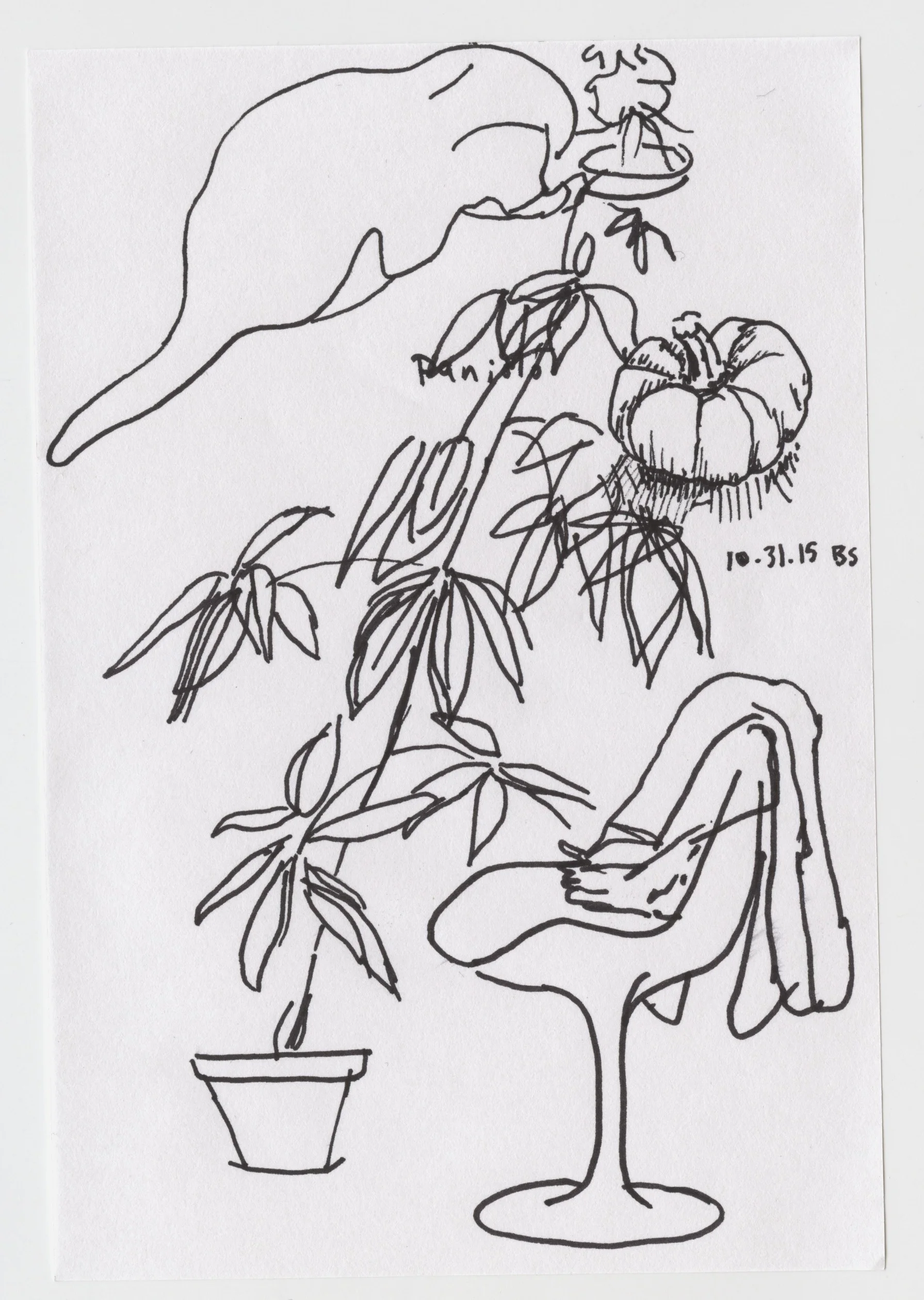 Housesitting 3, 2015