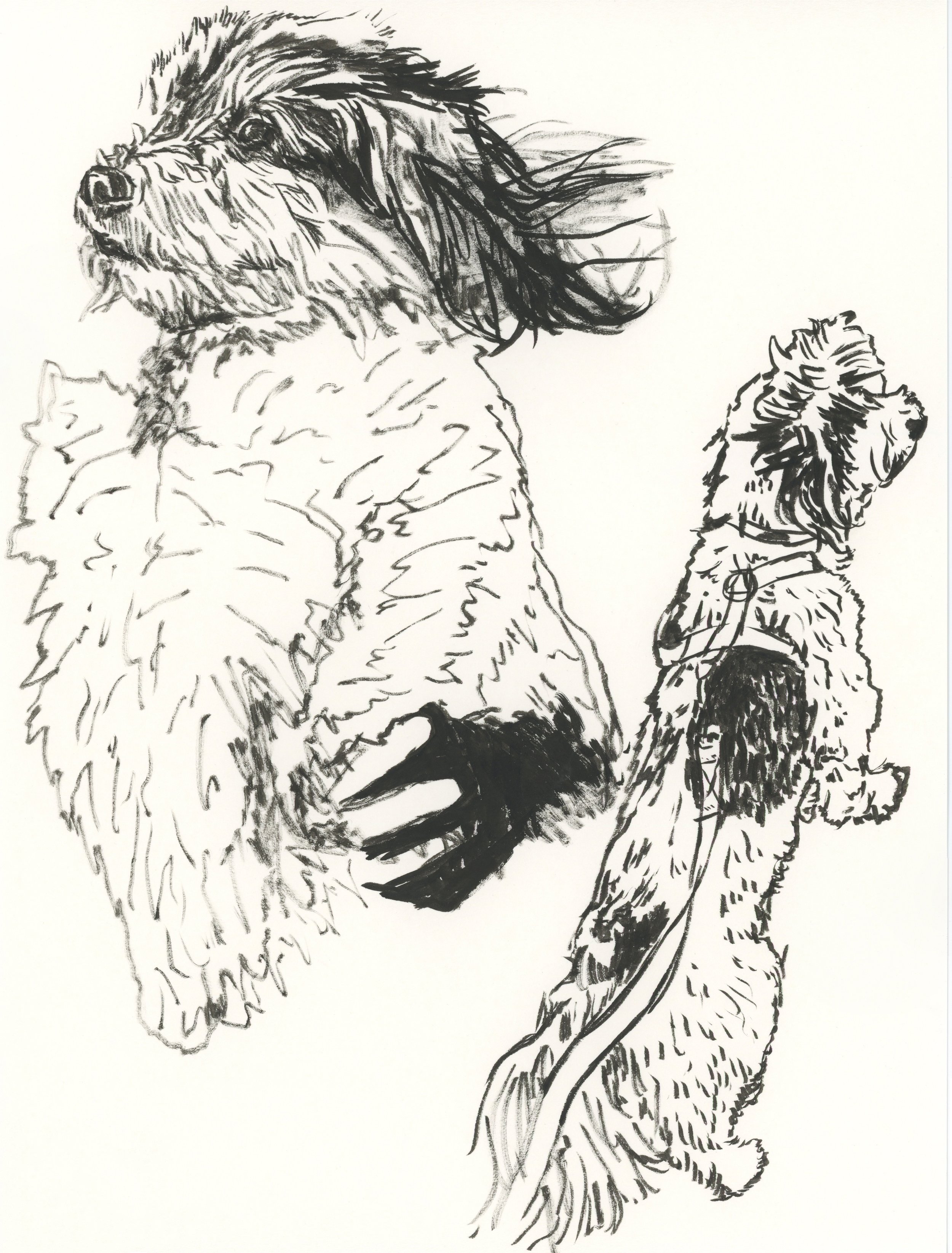 alfie marker composite.jpg