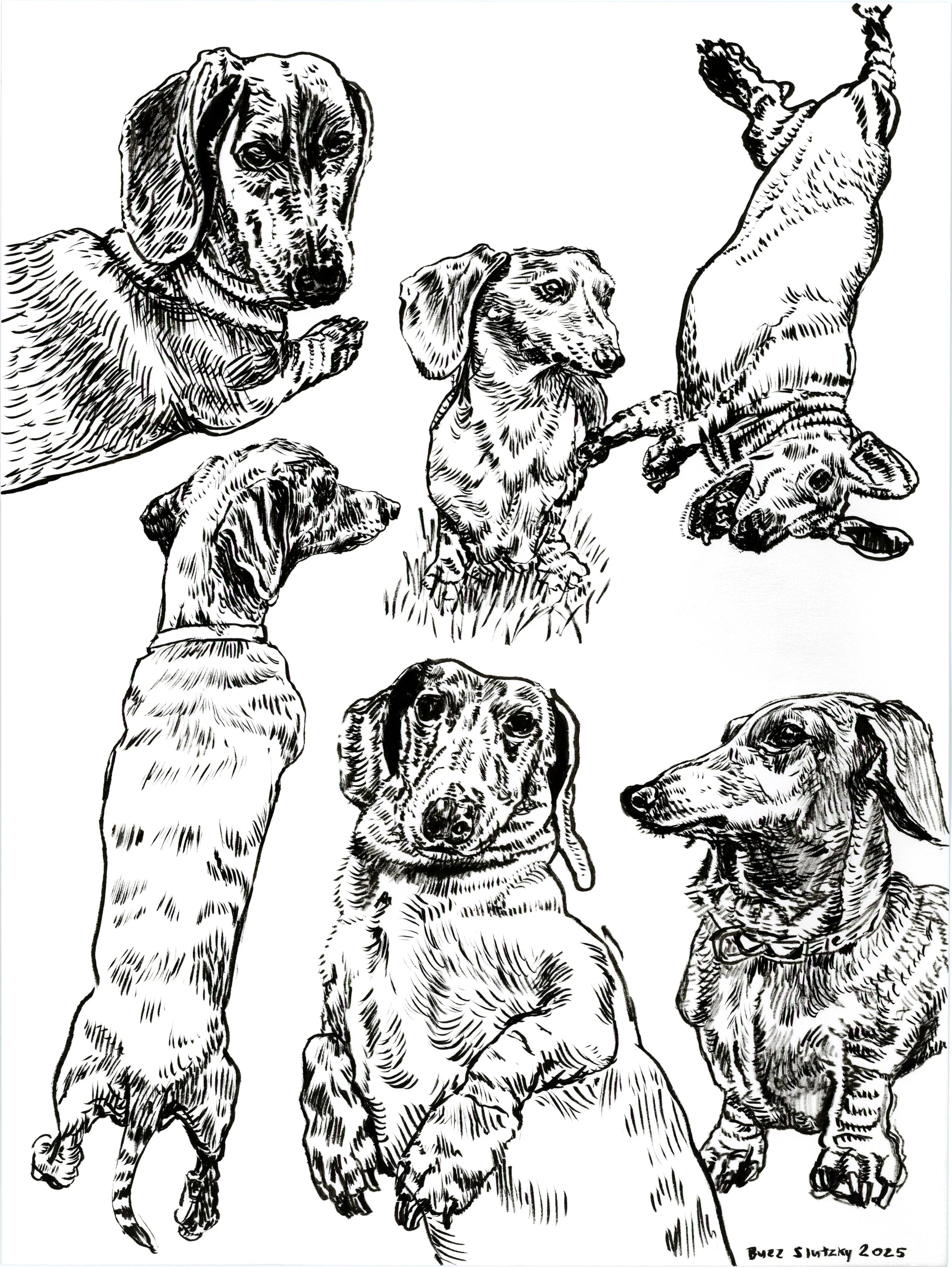 Agnes composite2.jpg