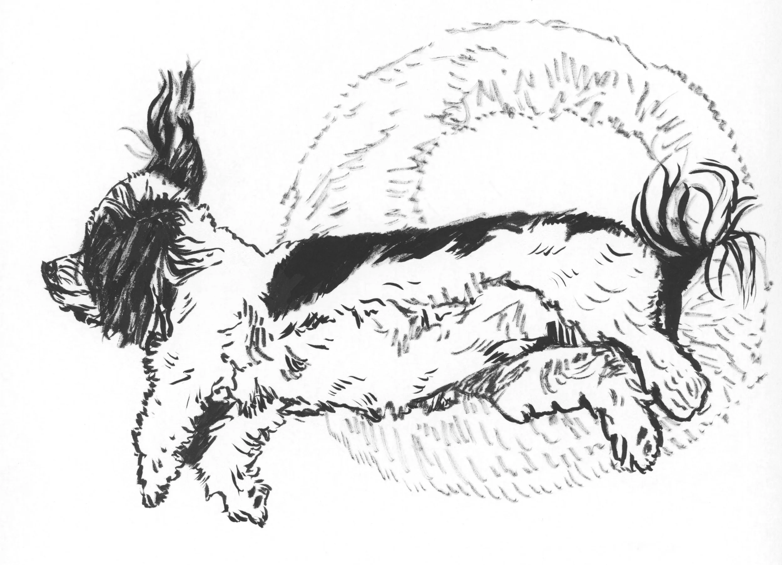 alfie brush pen 4-2.jpg