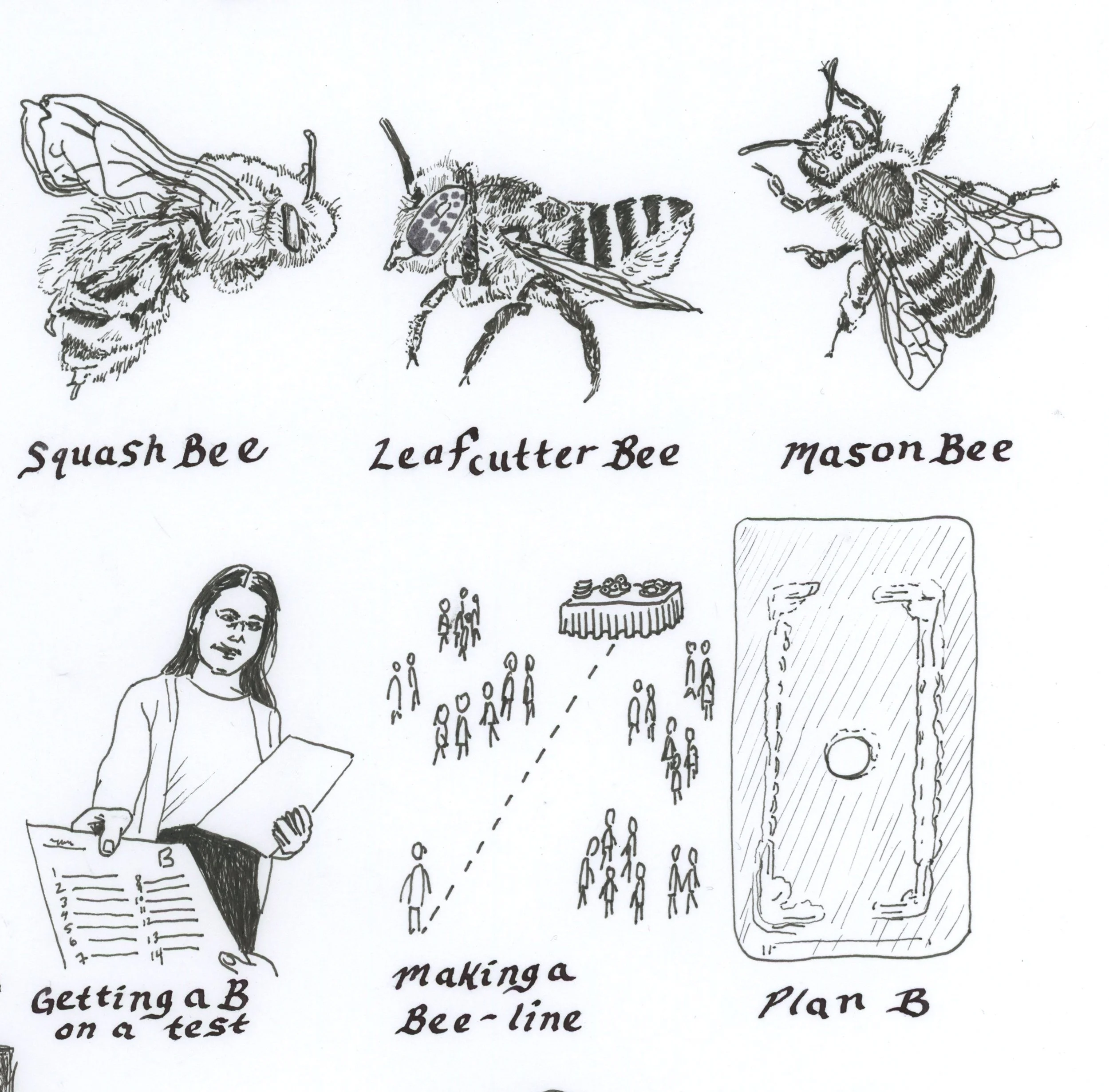 taxonomy of bees detail 2.jpg