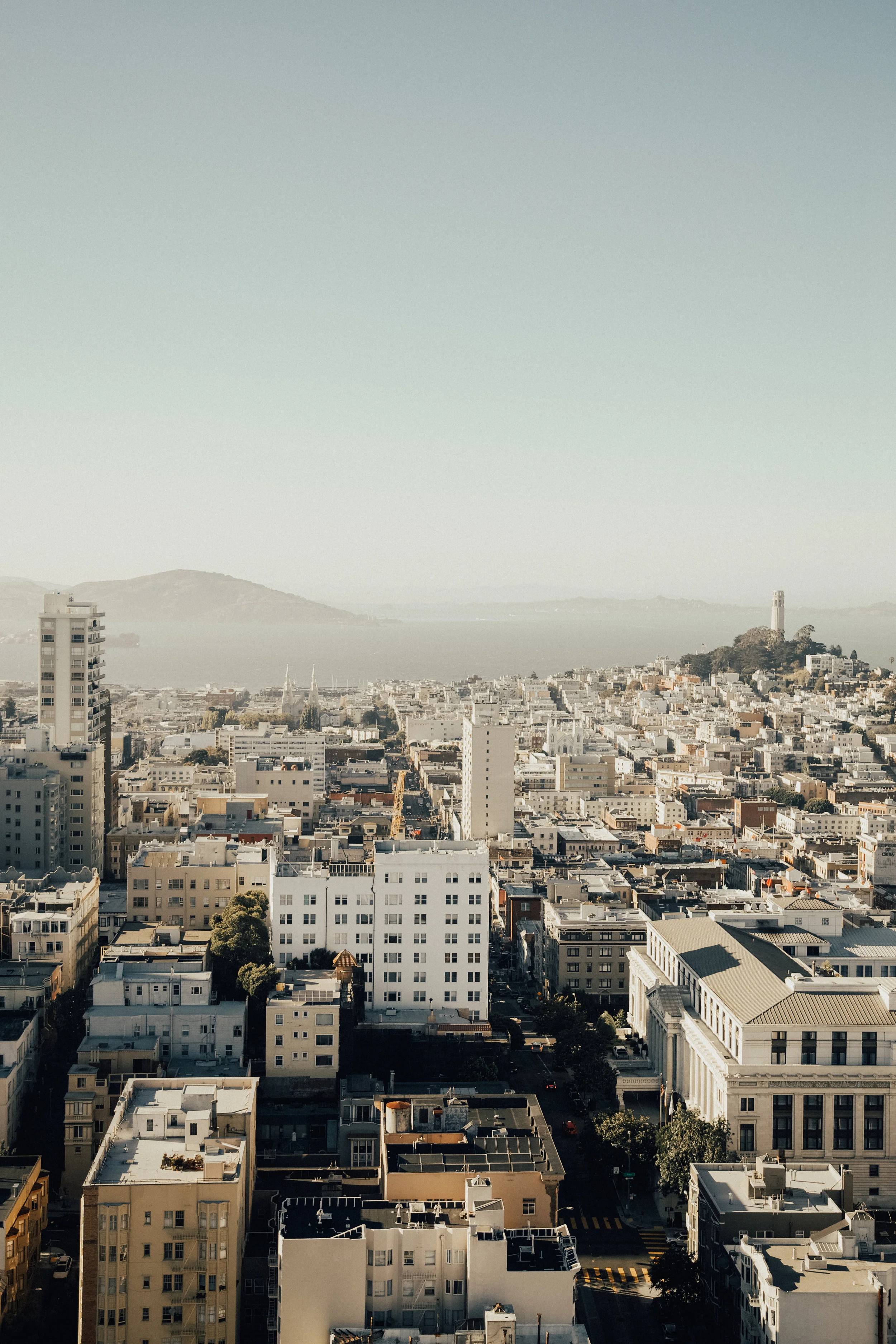 untitled (1 of 1)-10.jpg