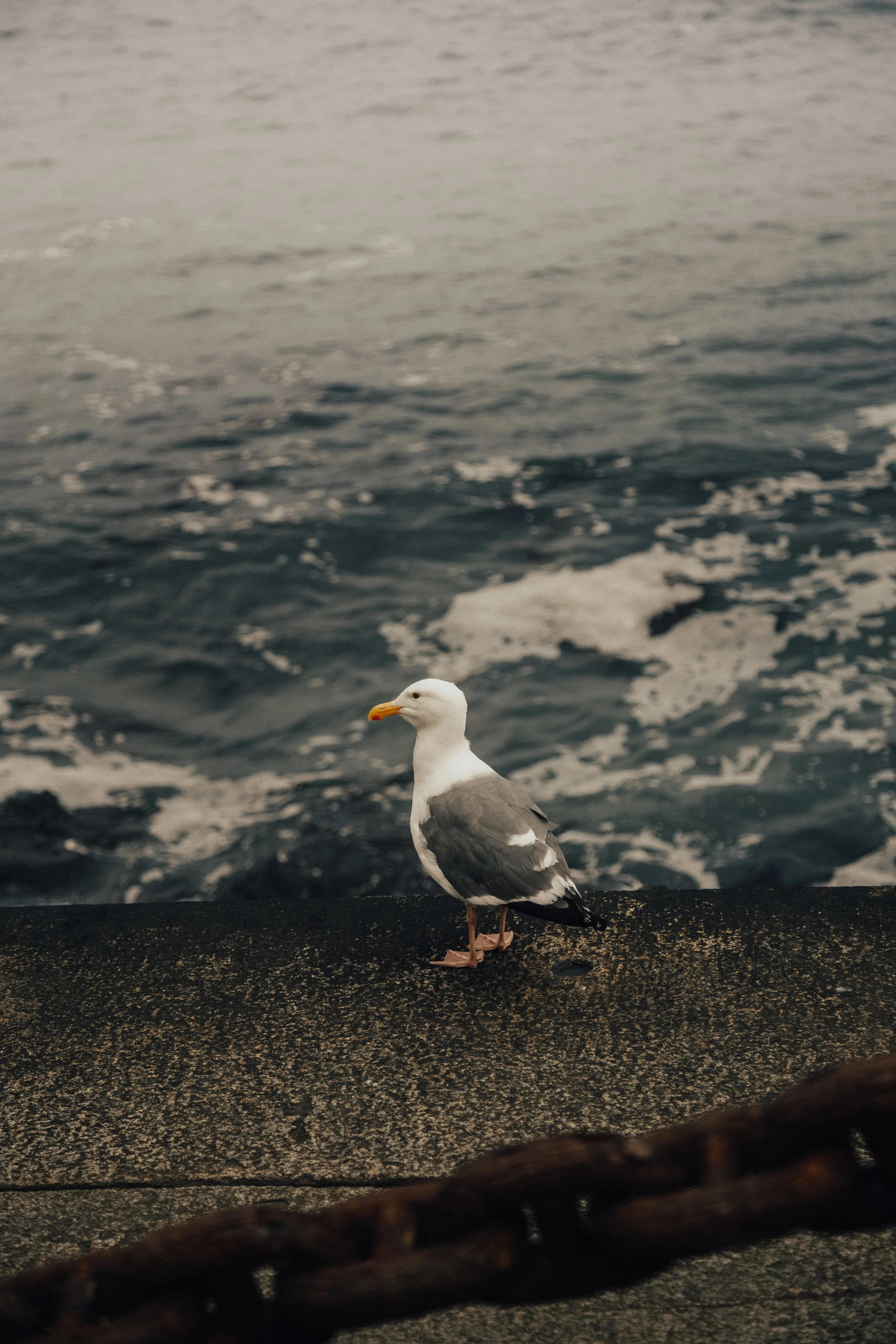 untitled (1 of 1)-11.jpg