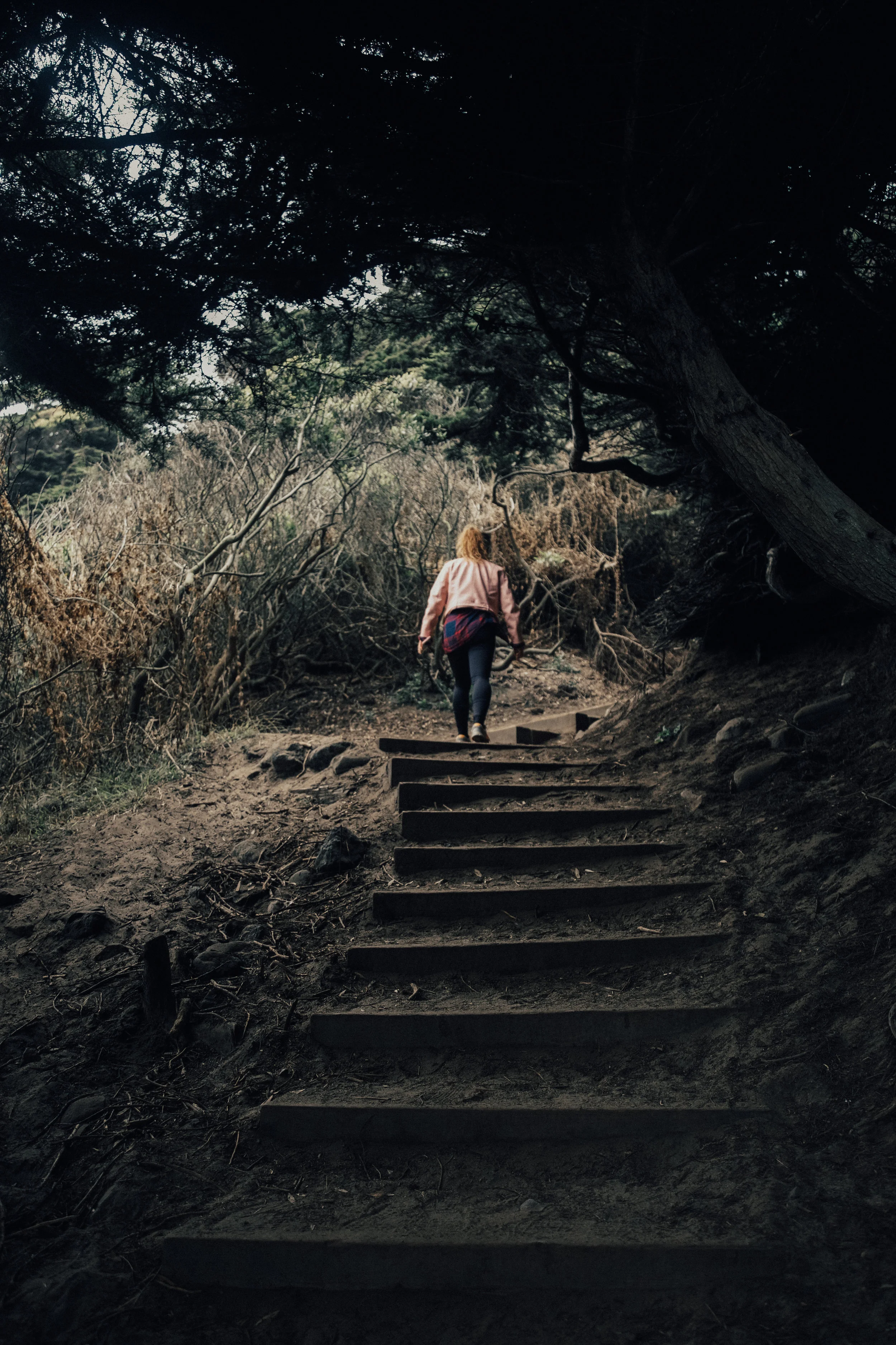 untitled (1 of 1)-15.jpg