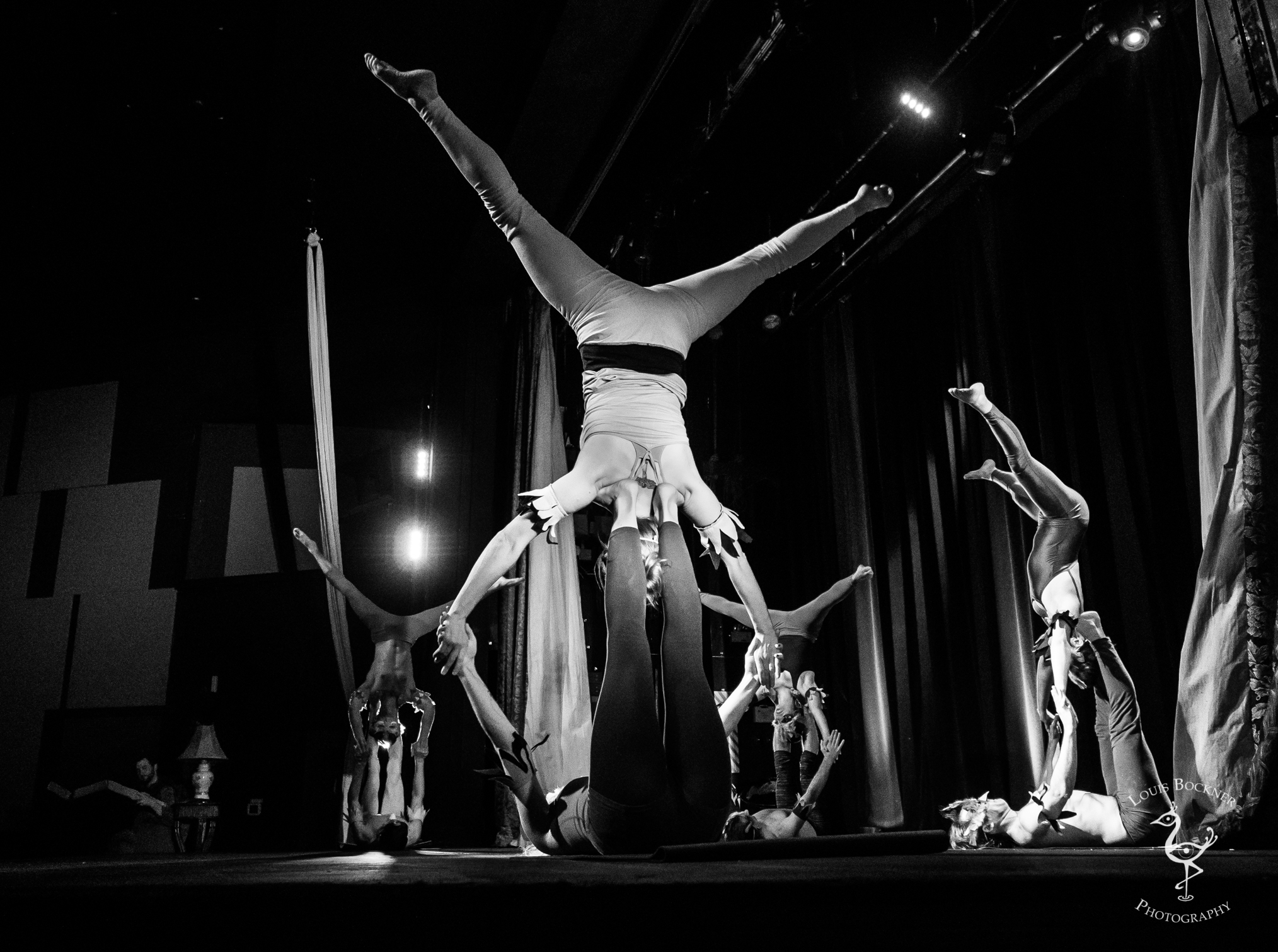 DiscoverCircusShow2017_LowRes-34.jpg