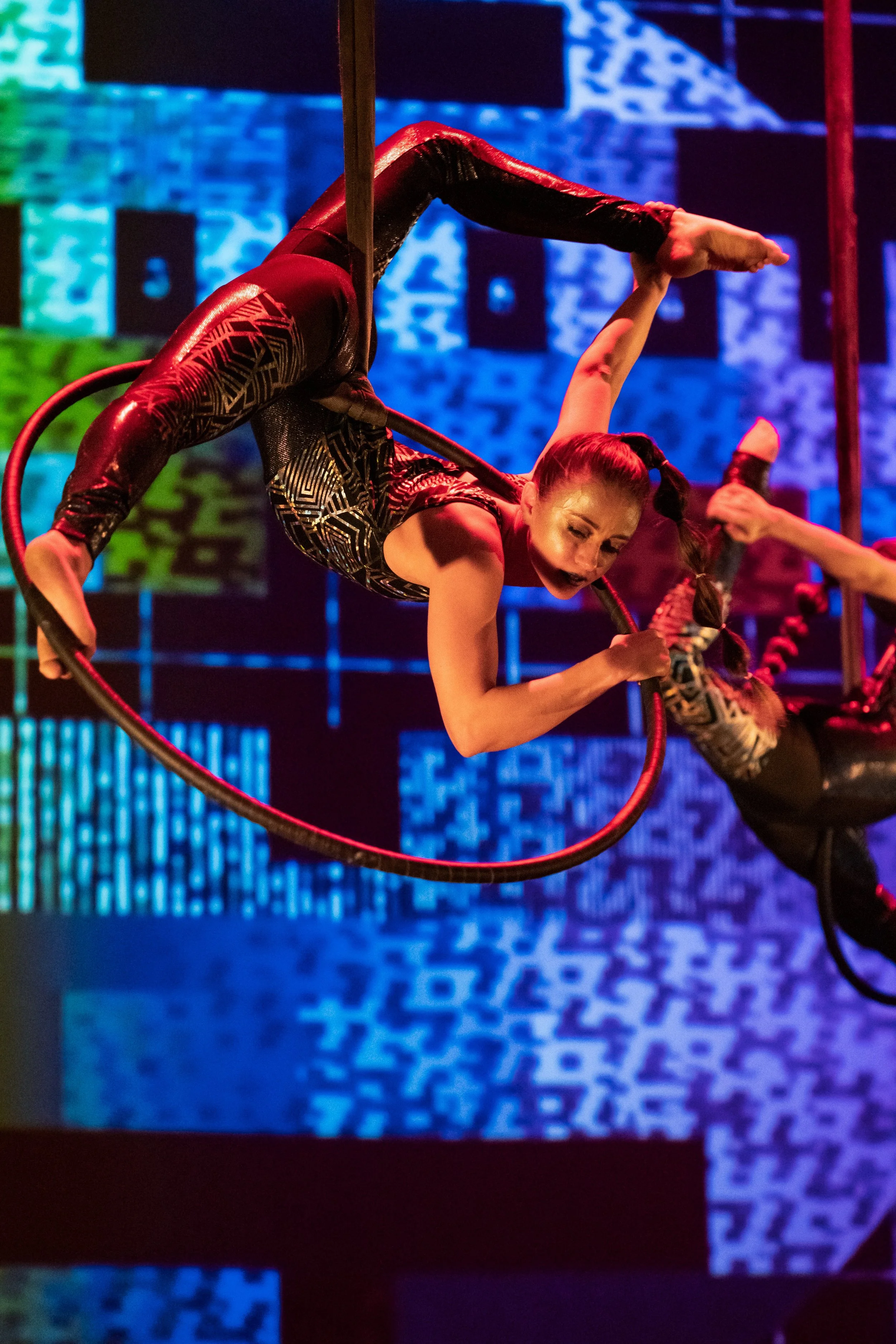 A female performer in a black and gold costume is hanging upside down on a red aerial hoop, with colored lights in the background.
