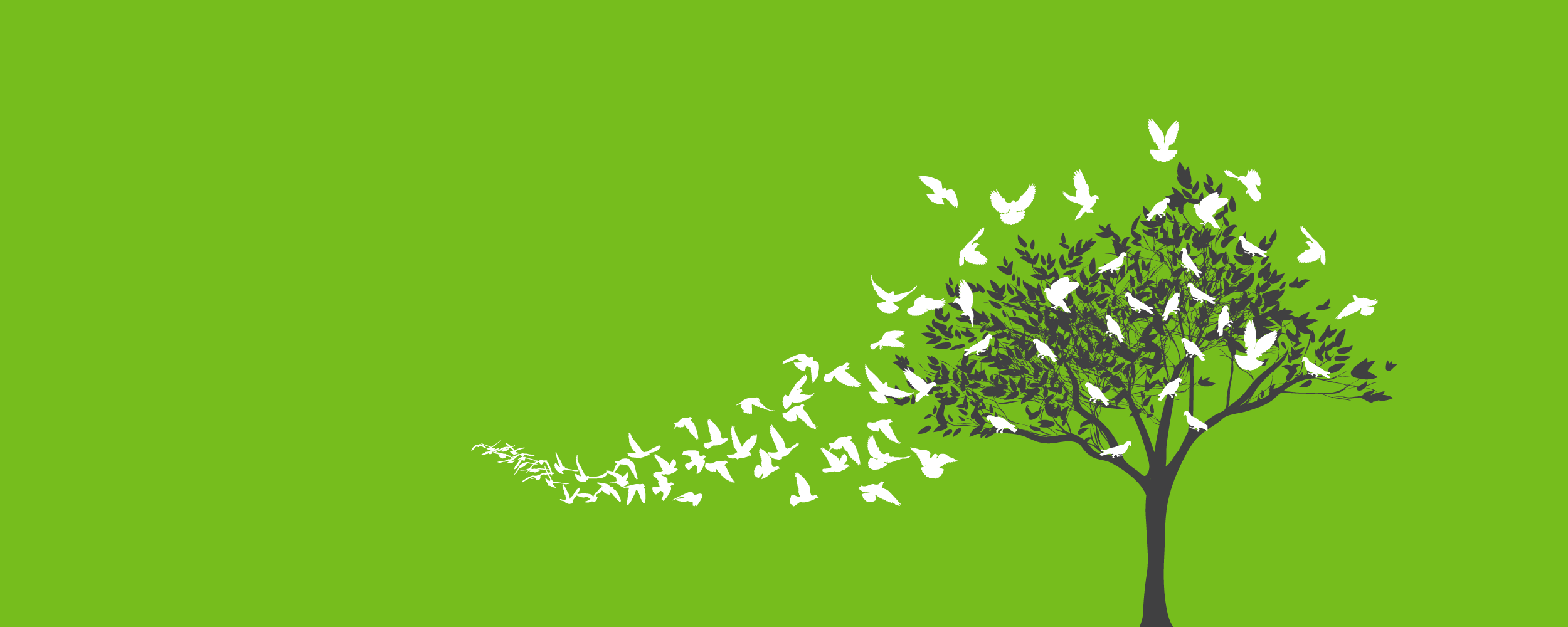 2500x1000_flock-to-tree2.png