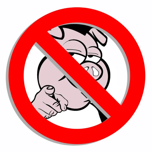 NO PIGZ.jpg