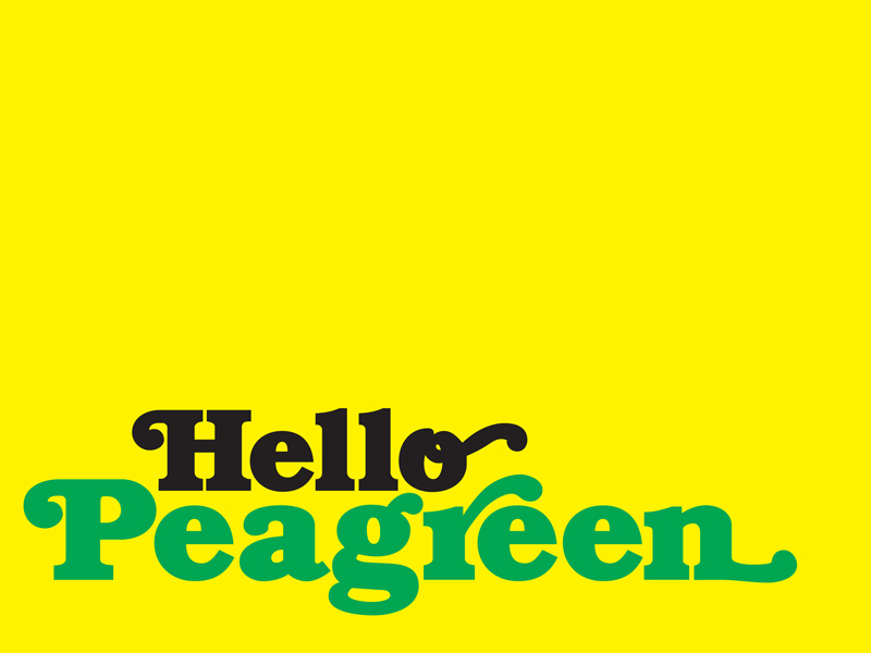 Hello Peagreen, Brighton.