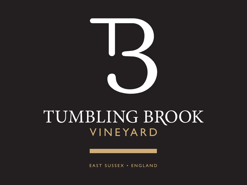 Tumbling Brook Vineyard, Ashburnham East Sussex.