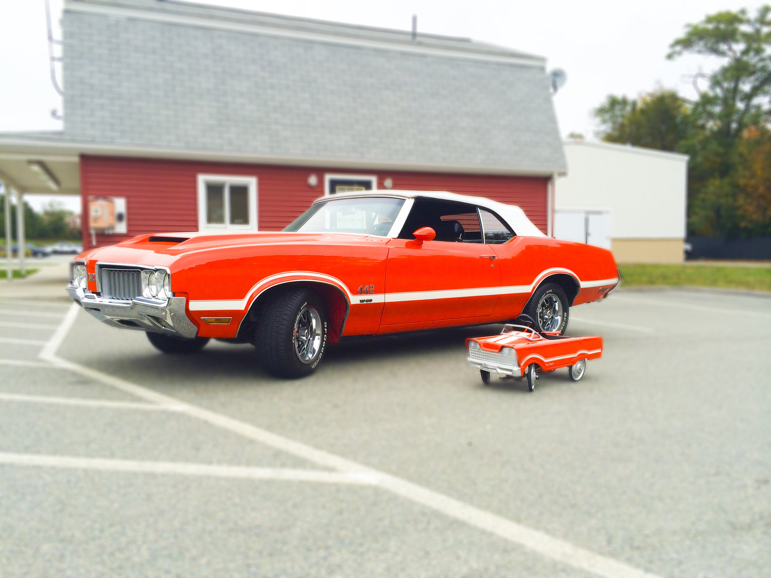442-peddle.jpg