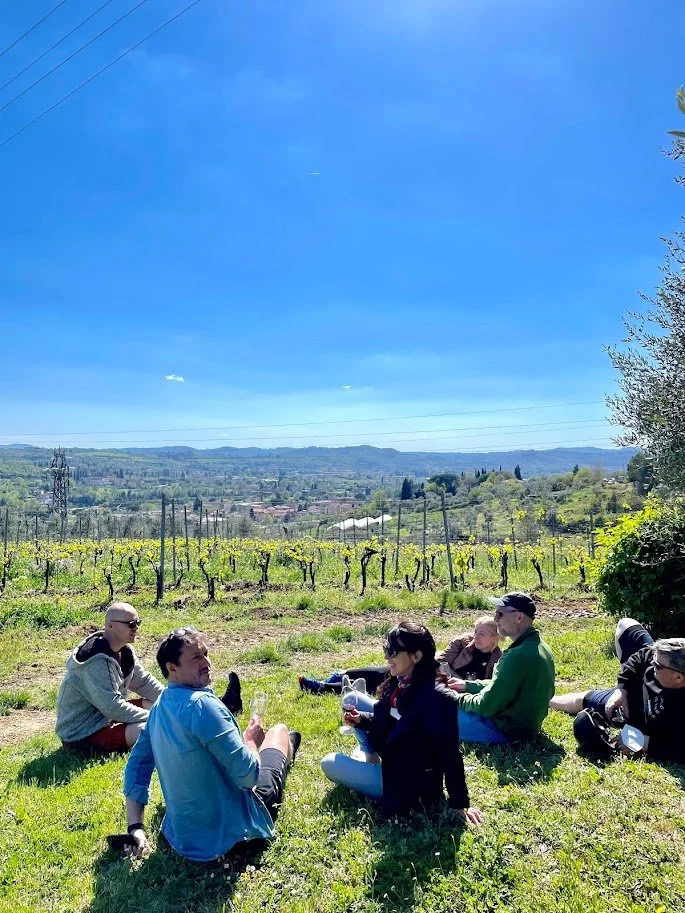 WSET LEVEL 1 WITH SYLVIETTA at POGGIOPIANO, FLORENCE NOV 12-15, 2026