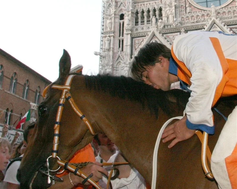800px-Bacio_cavallo_lg_palio_assunta_2007_(77).jpg