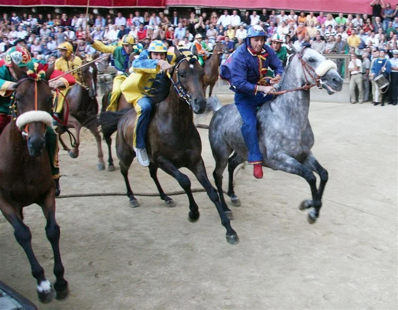 800px-Mossa_lg_il_palio_del_16_agosto_2006_(7).jpg