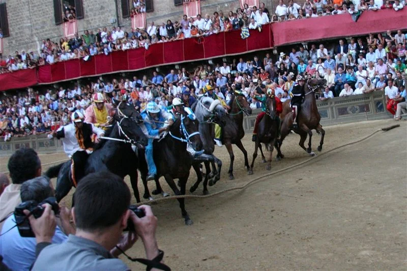 800px-Mossa_lg_palio_provenzano_2007_(83).jpg