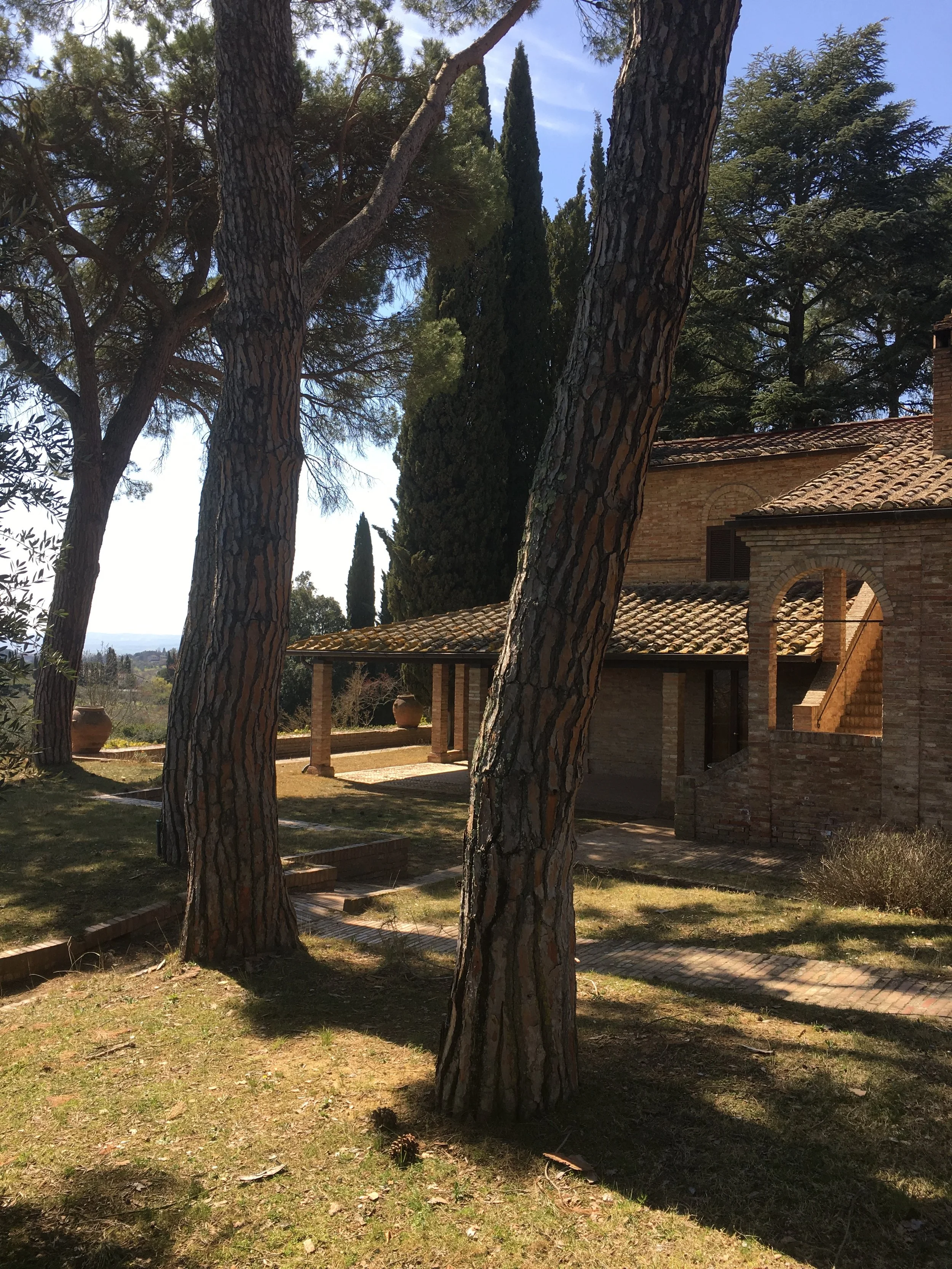 WSET 2 IN SIENA, TUSCANY  MARCH 16 - MARCH 19, 2026