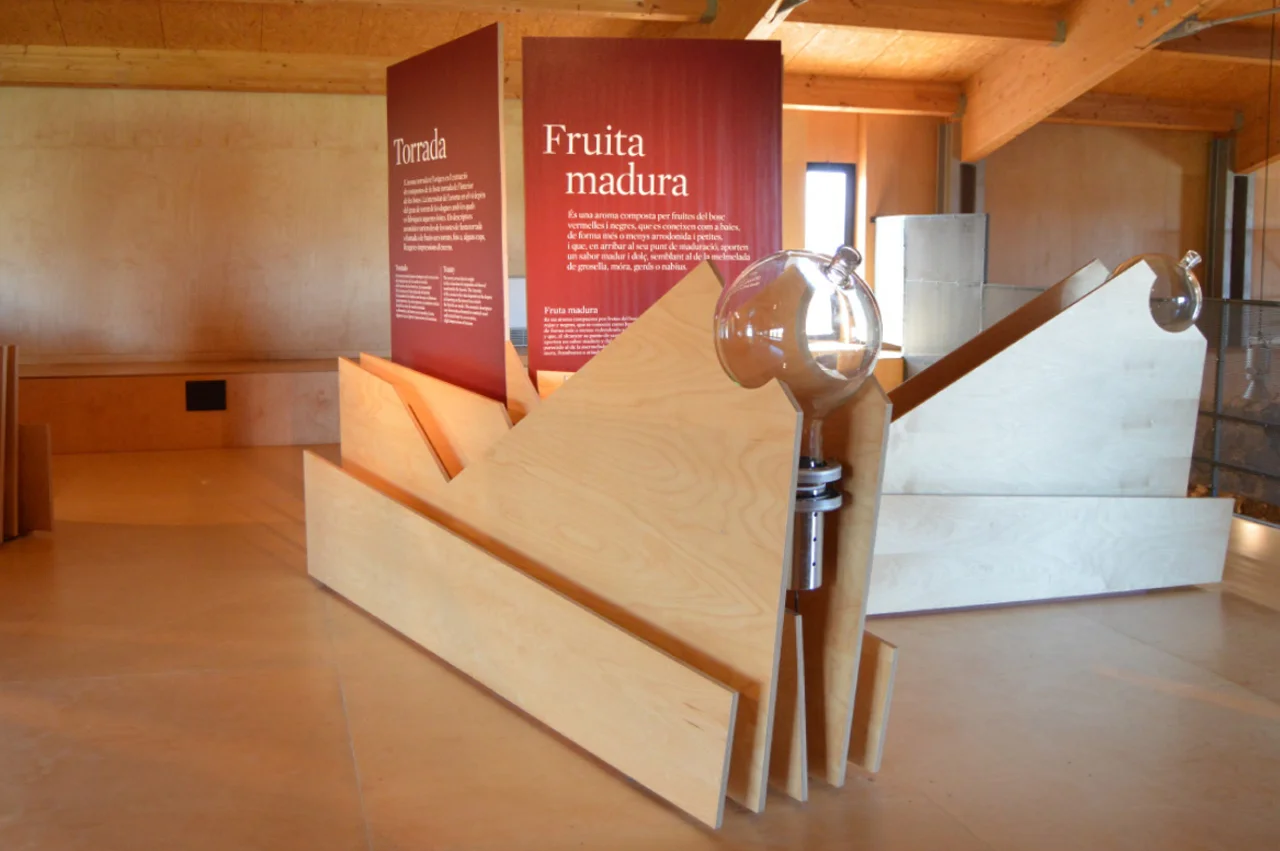 OLGA LLOBET_PLA DIRECTOR CASTELL DE FALSET 02.jpg