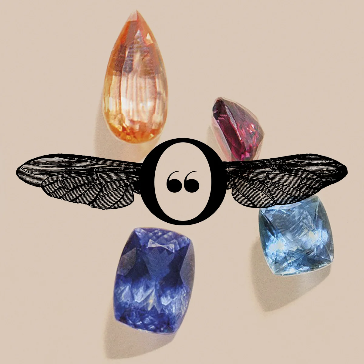 OLGA LLOBET_ROOSIK AND CO NAMING_PORTADA COMUNICACIO.jpg