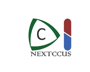 Final report from the NEXTCCUS project