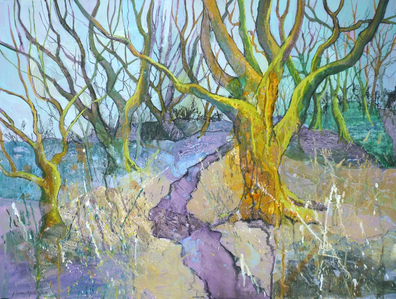 Spring in Steeple Wood