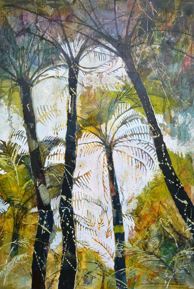 New Zealand Tree Ferns