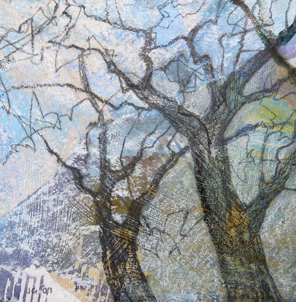 Tangled branches