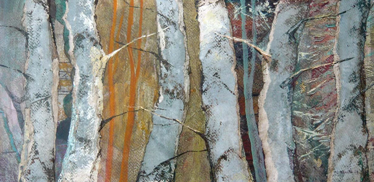 Woodland in winter