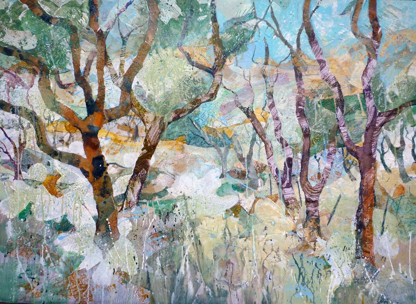 Portuguese cork trees