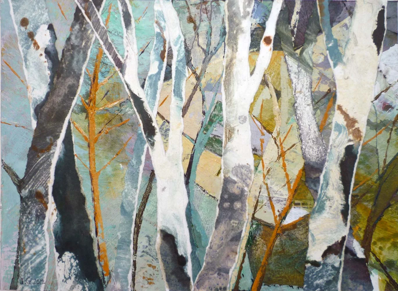 Swithland Wood in the Spring