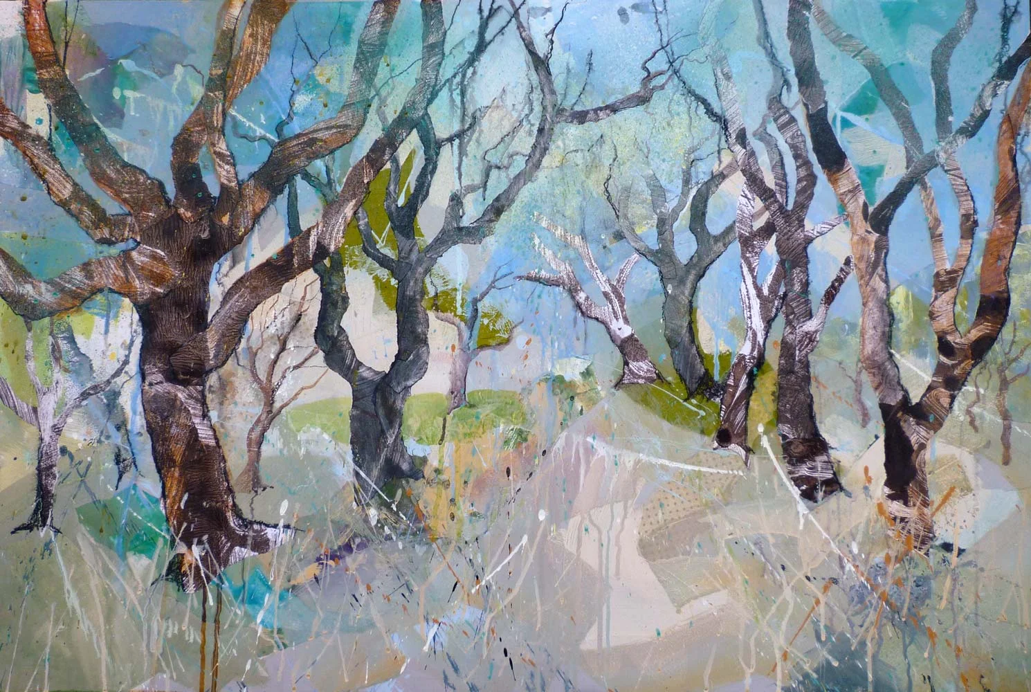 Cork forest in the morning sun