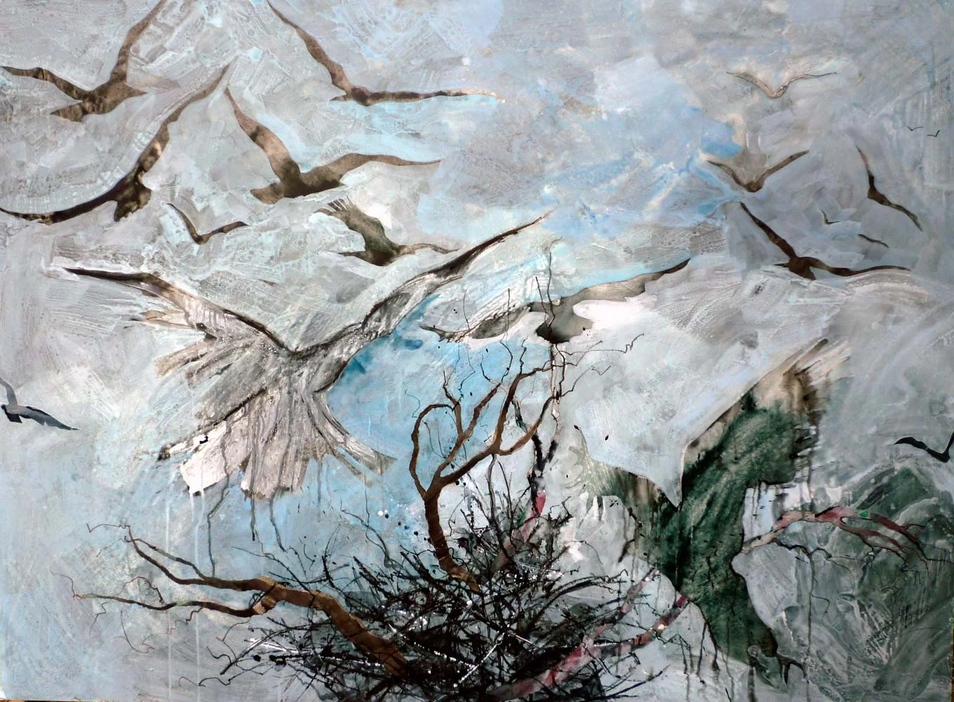 Rooks circling the nest