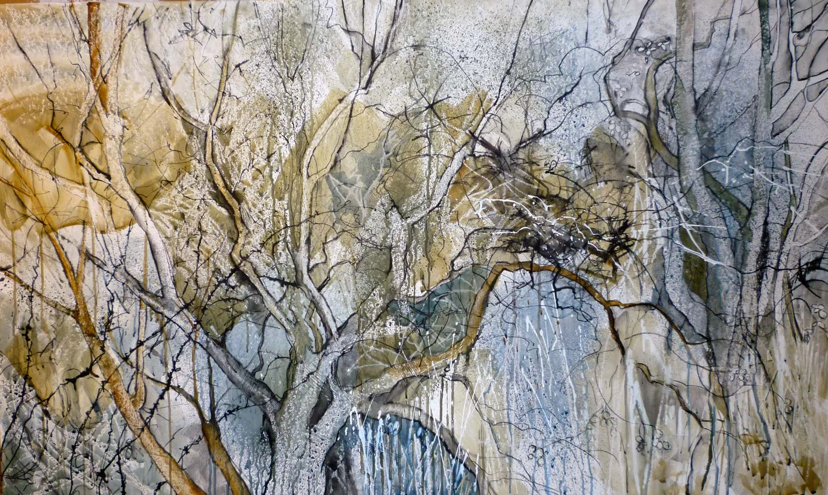 Winter hedgerow 1