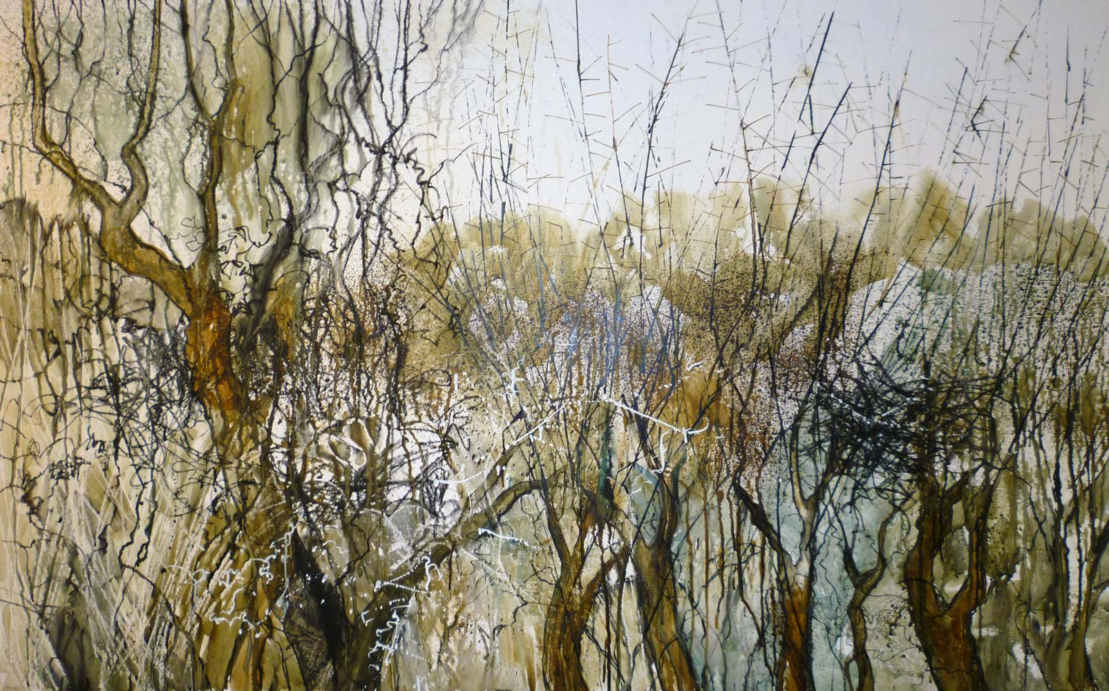 Winter hedgerow 4