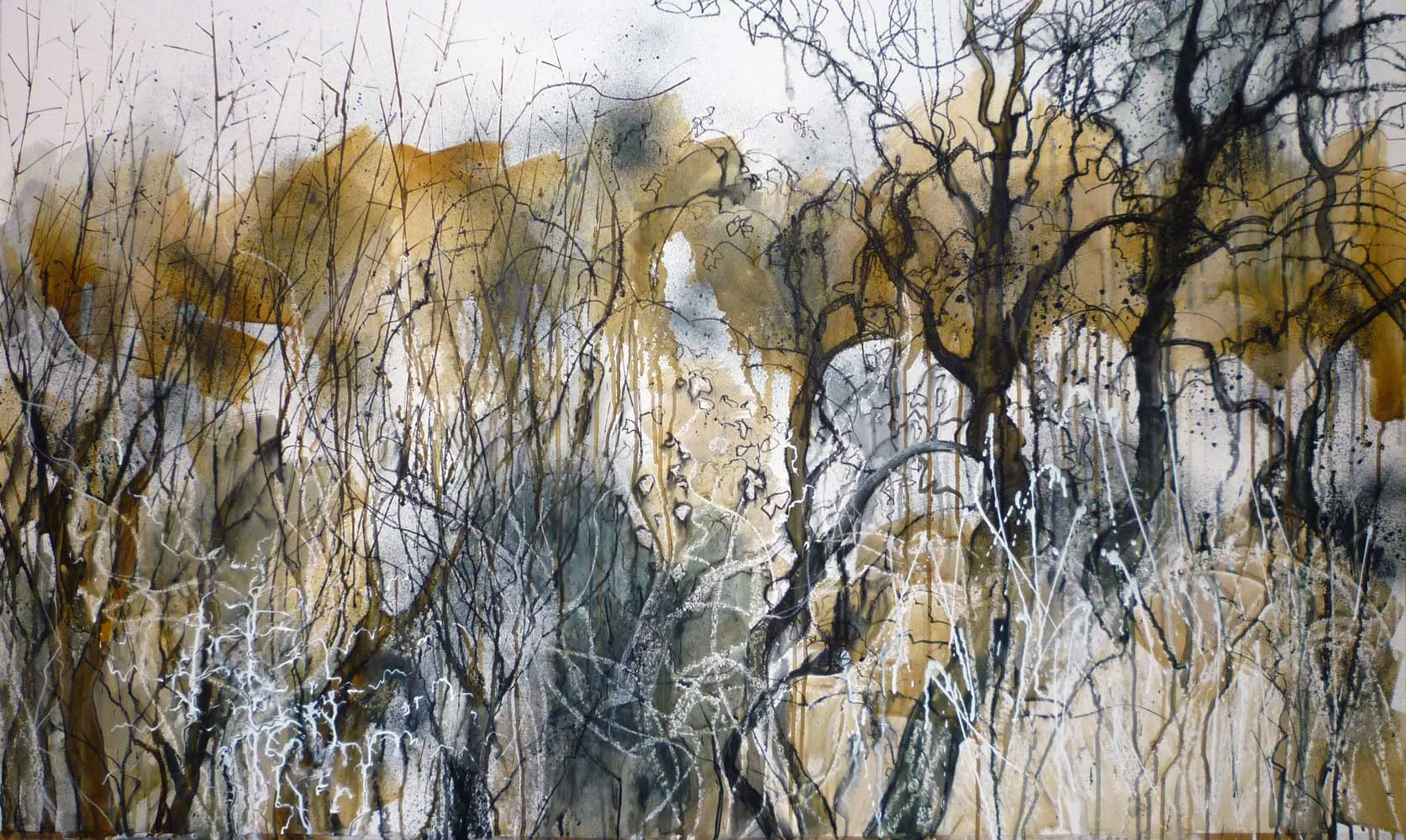 Winter hedgerow 5