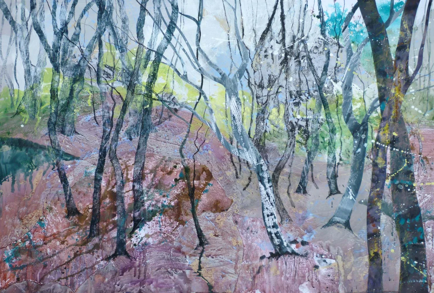 Trencrom woods, Cornwall