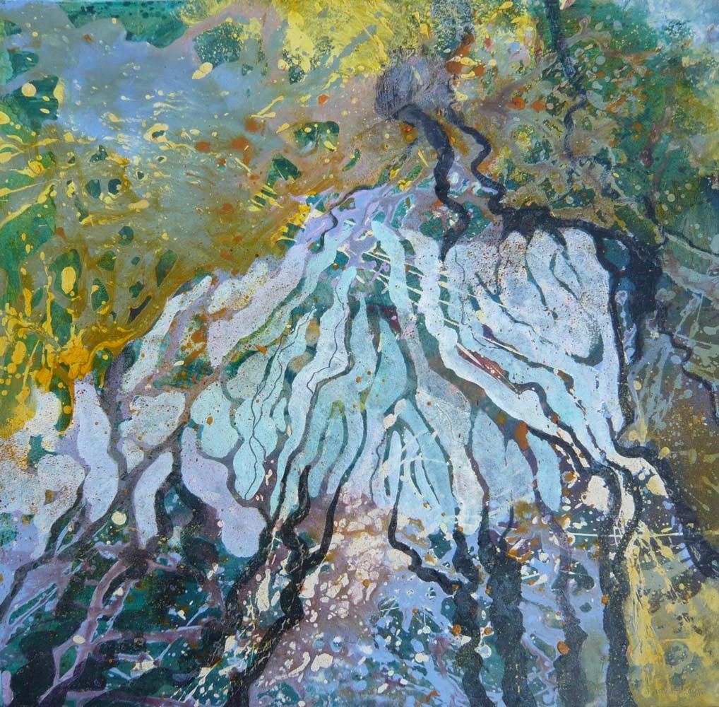 Woodland reflections