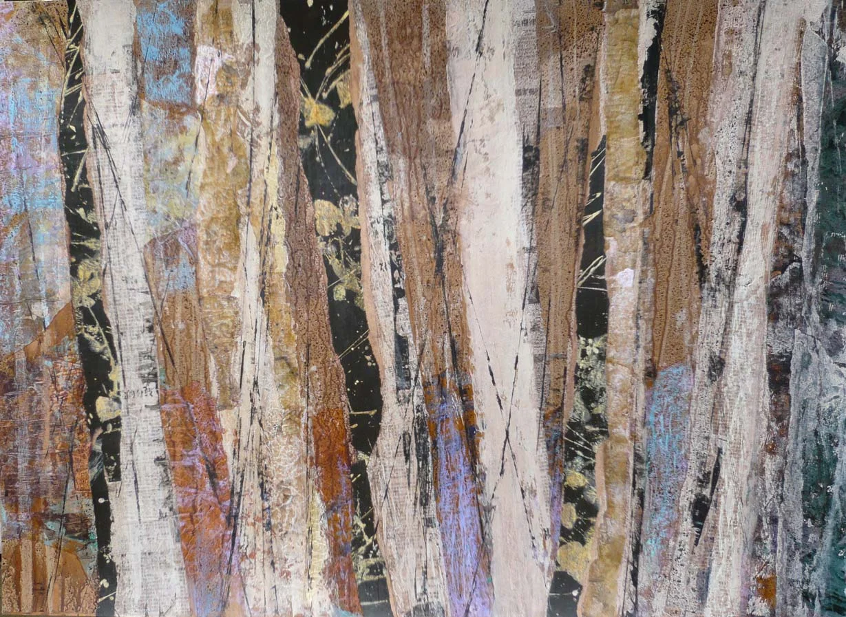 New Zealand birch wood abstract