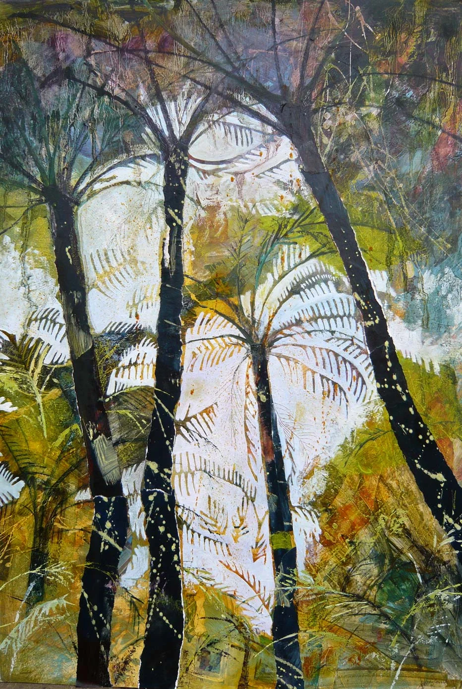 New Zealand tree ferns